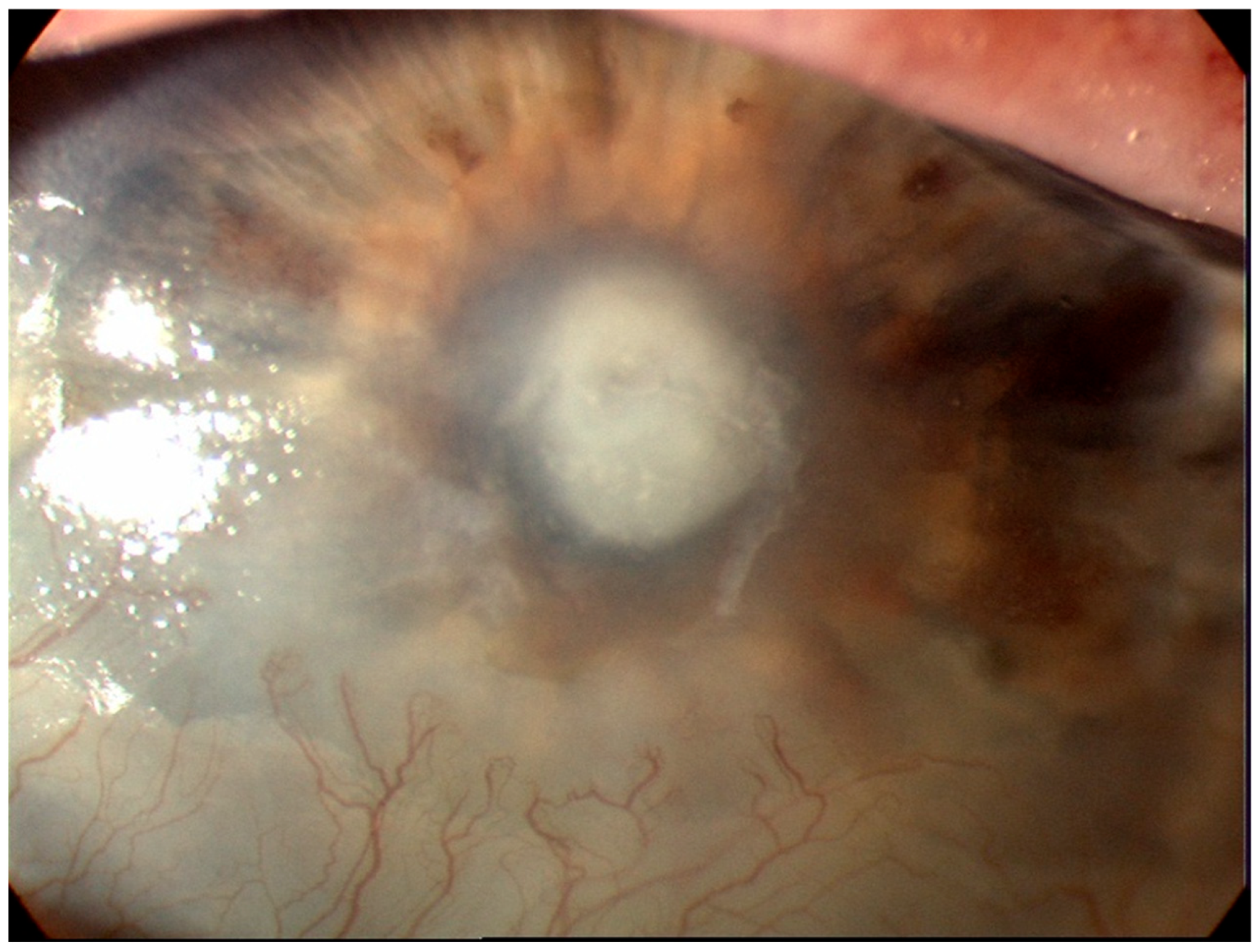 Diagnostics 13 03358 g001 Diagnostics 13 03358 g001