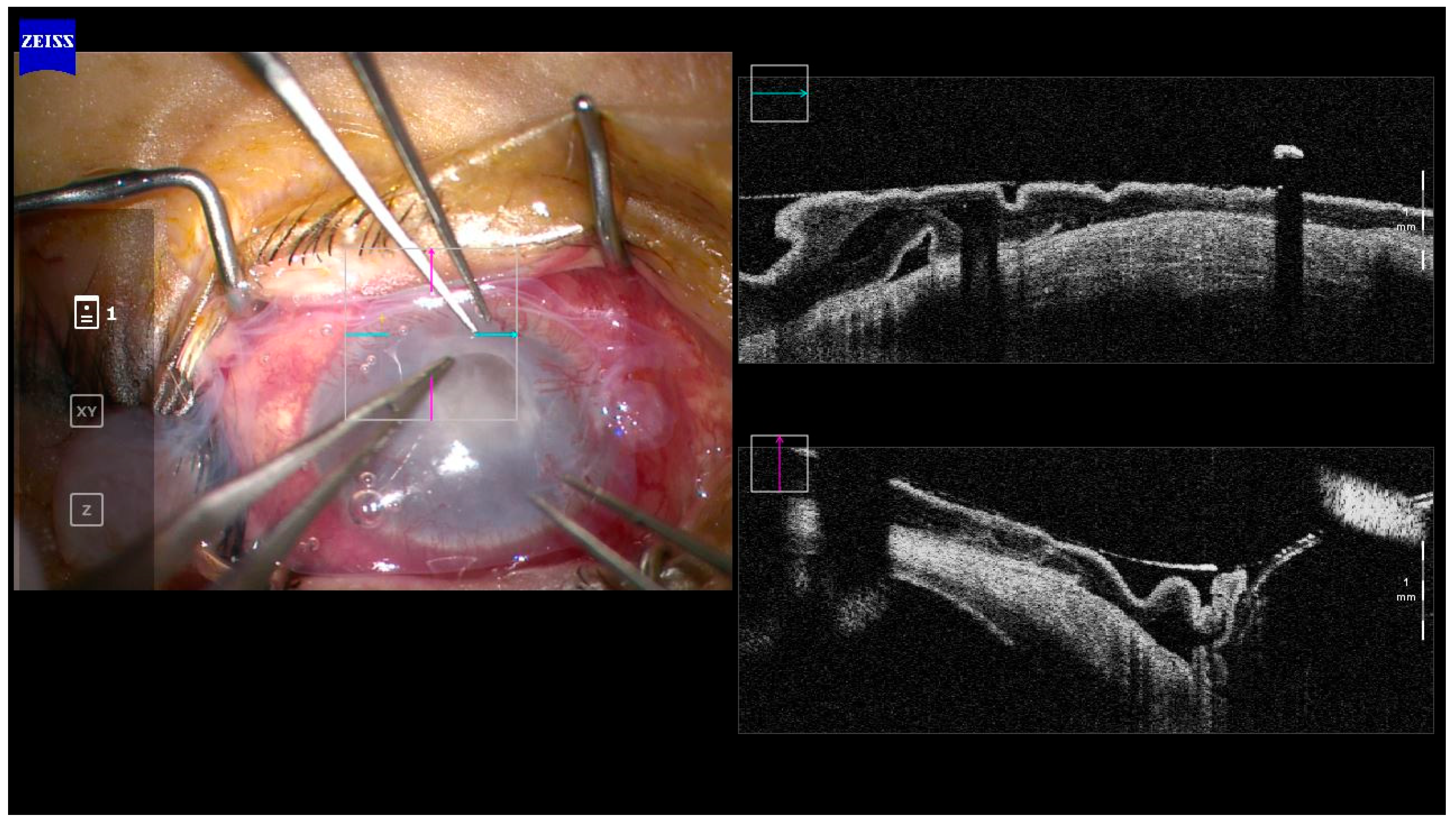 Diagnostics 13 03358 g002 Diagnostics 13 03358 g002