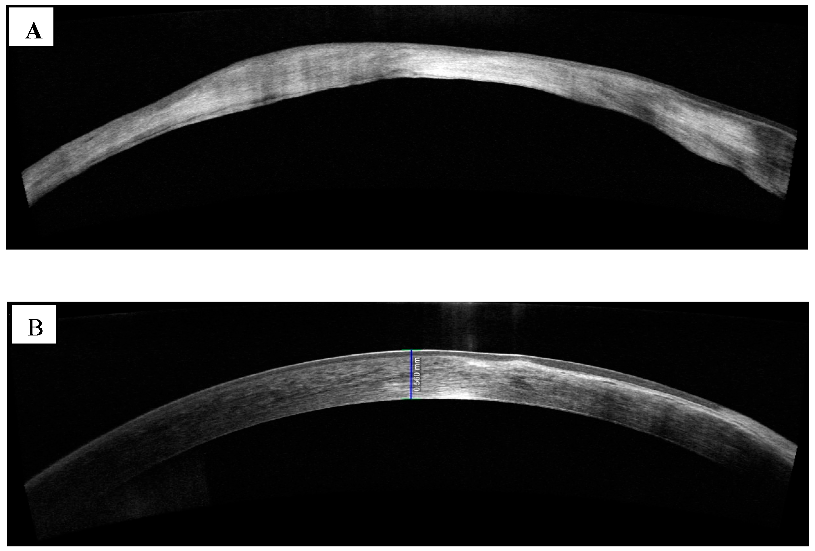 Diagnostics 13 03358 g003 Diagnostics 13 03358 g003