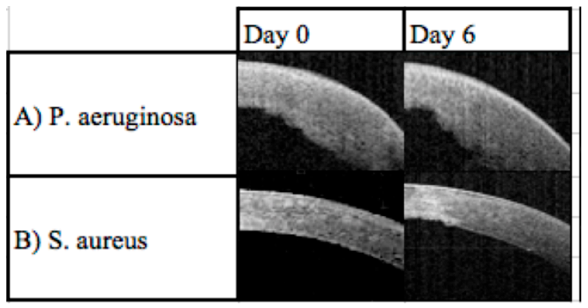 Diagnostics 13 03358 g005 Diagnostics 13 03358 g005