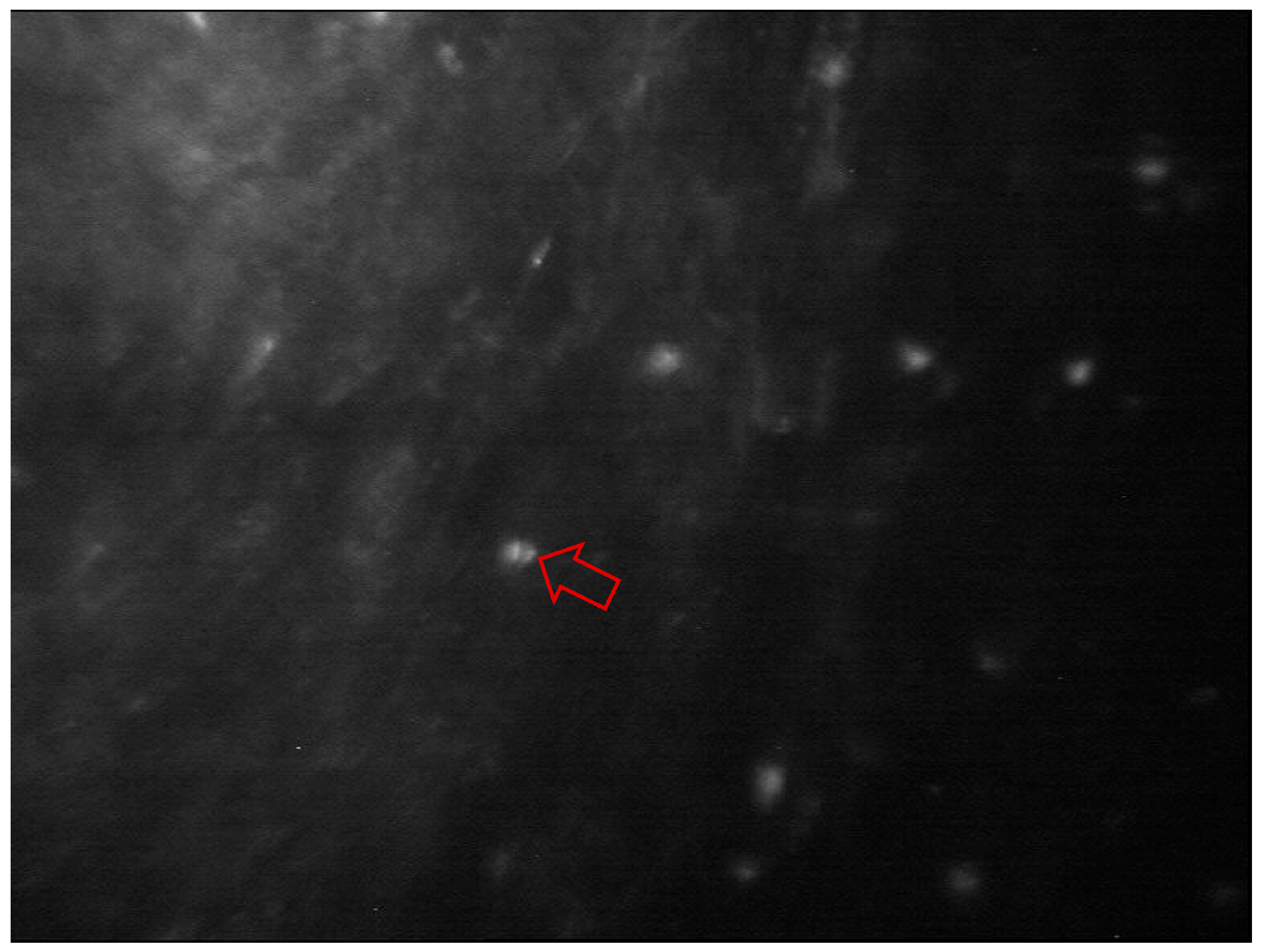 Diagnostics 13 03358 g007 Diagnostics 13 03358 g007