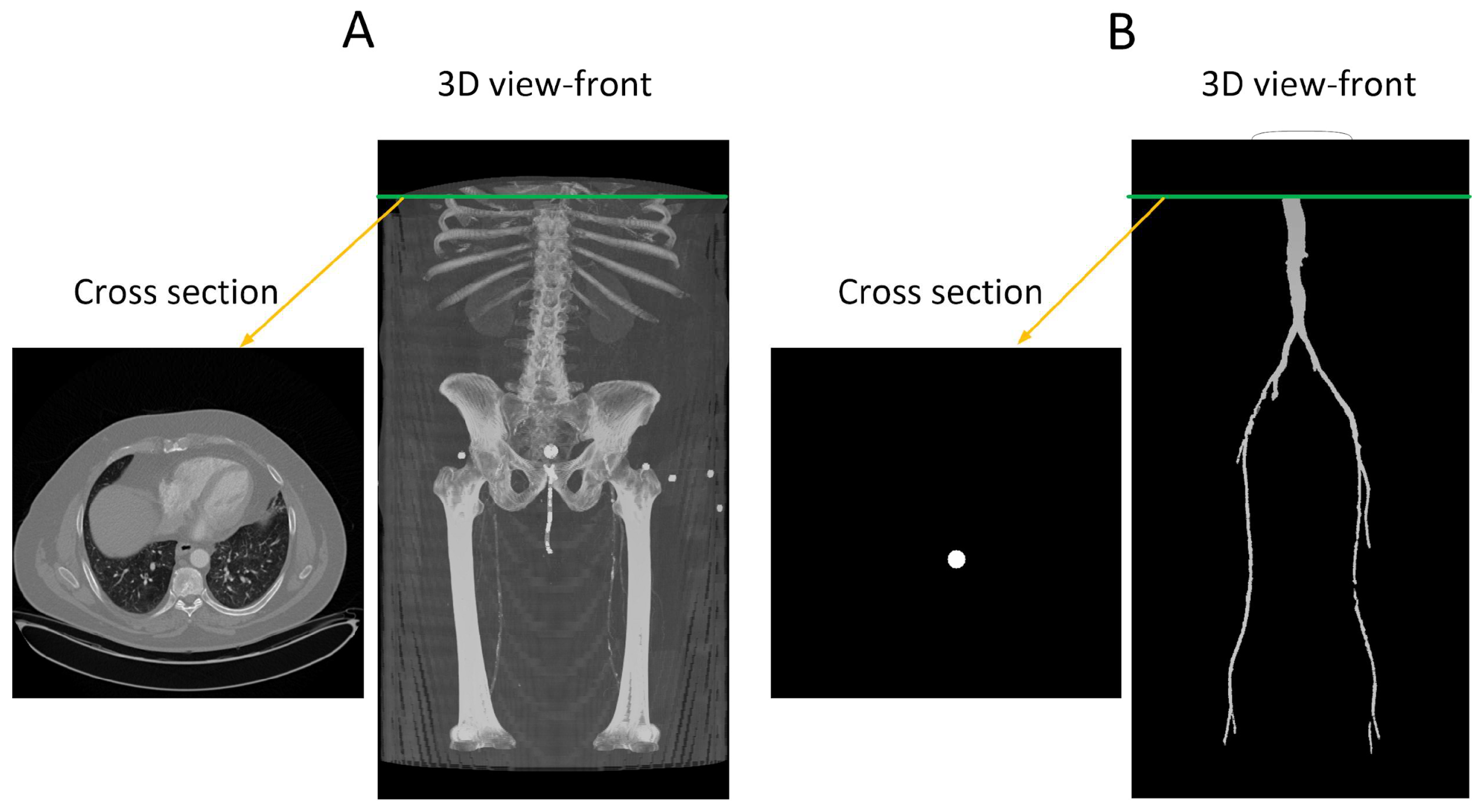 Diagnostics 13 03363 g002