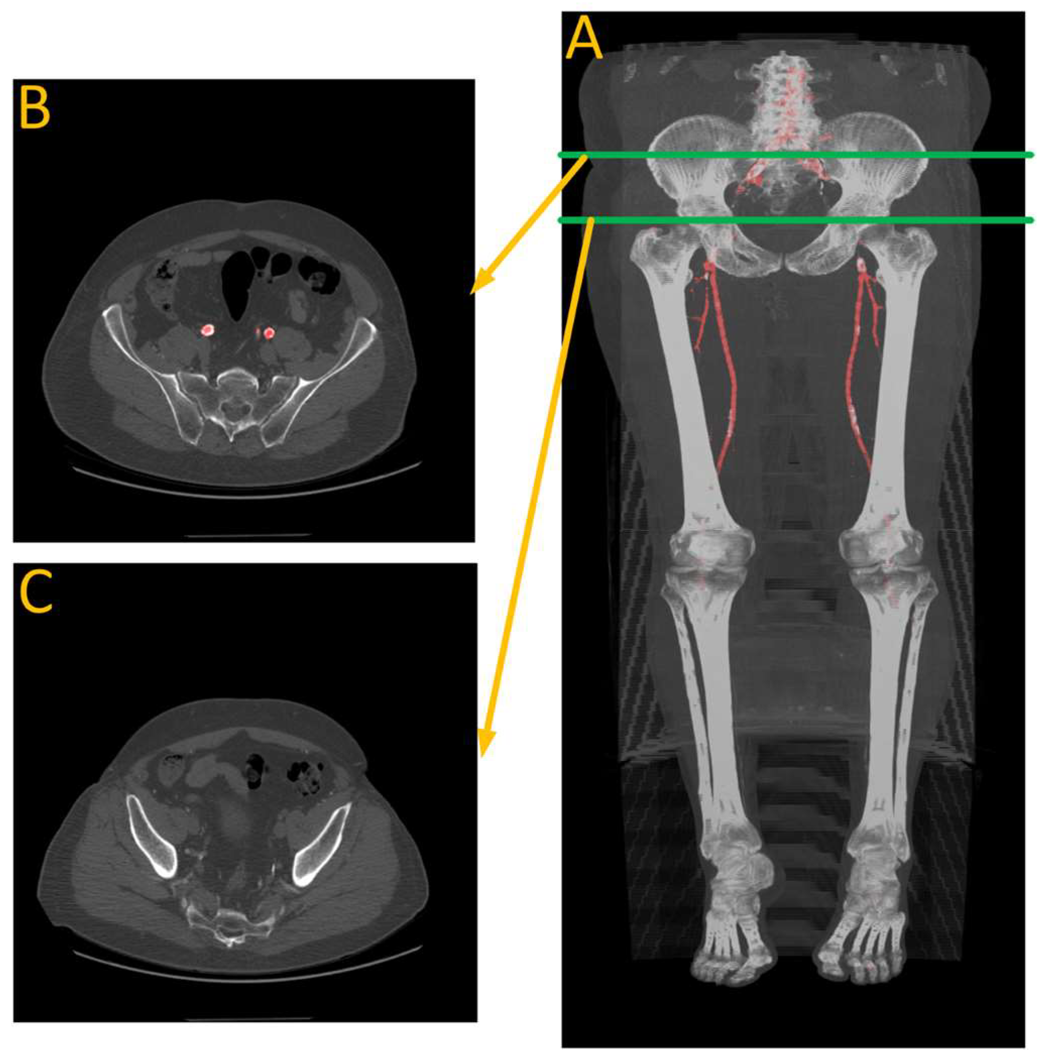 Diagnostics 13 03363 g013