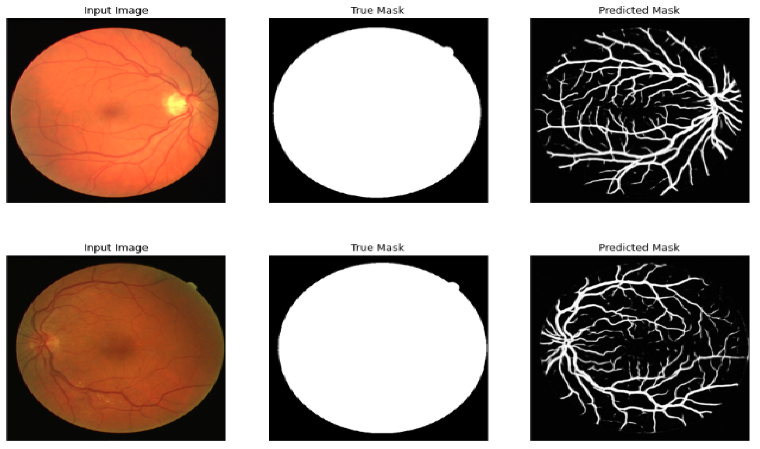 Diagnostics 13 03364 g007