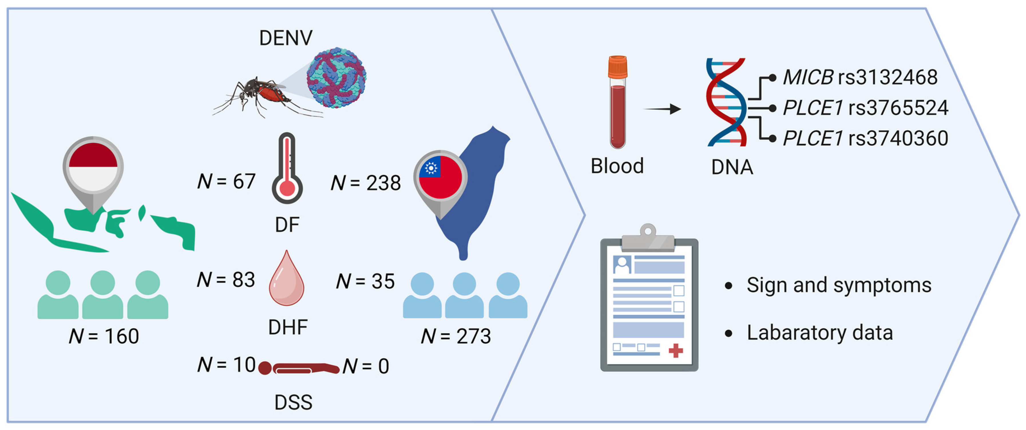 Diagnostics 13 03365 g001