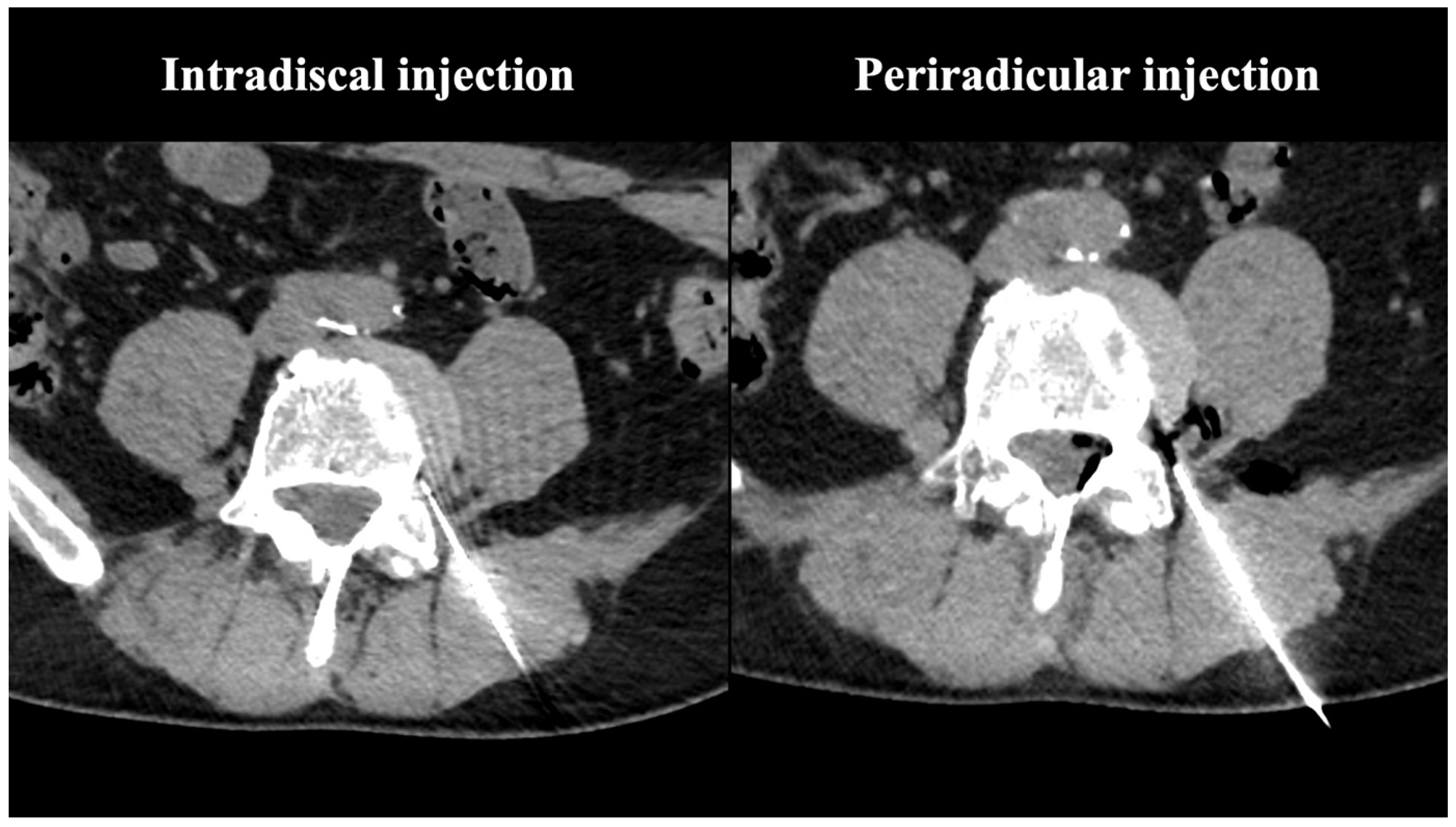Diagnostics 13 03370 g002