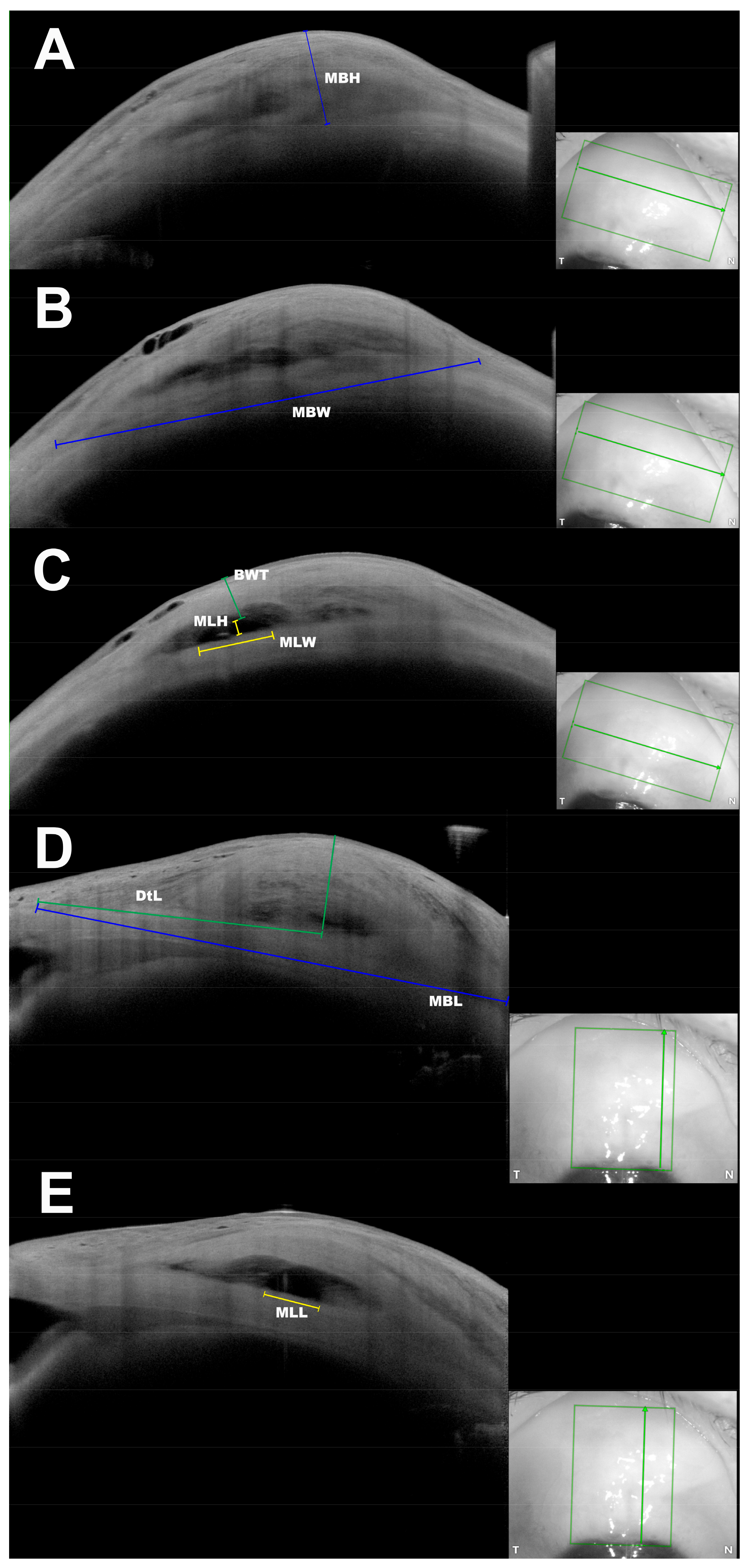 Diagnostics 13 03373 g001
