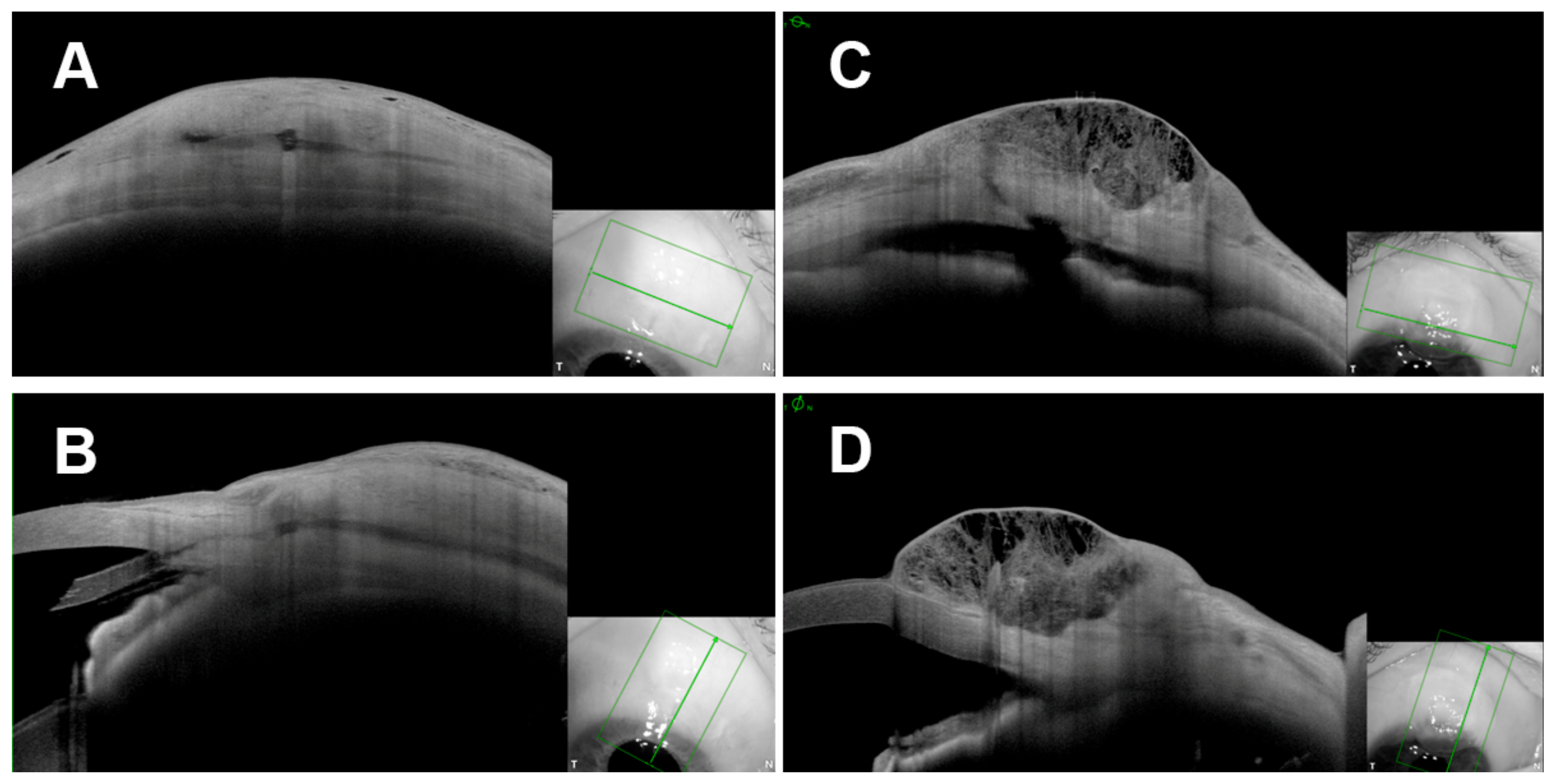 Diagnostics 13 03373 g003