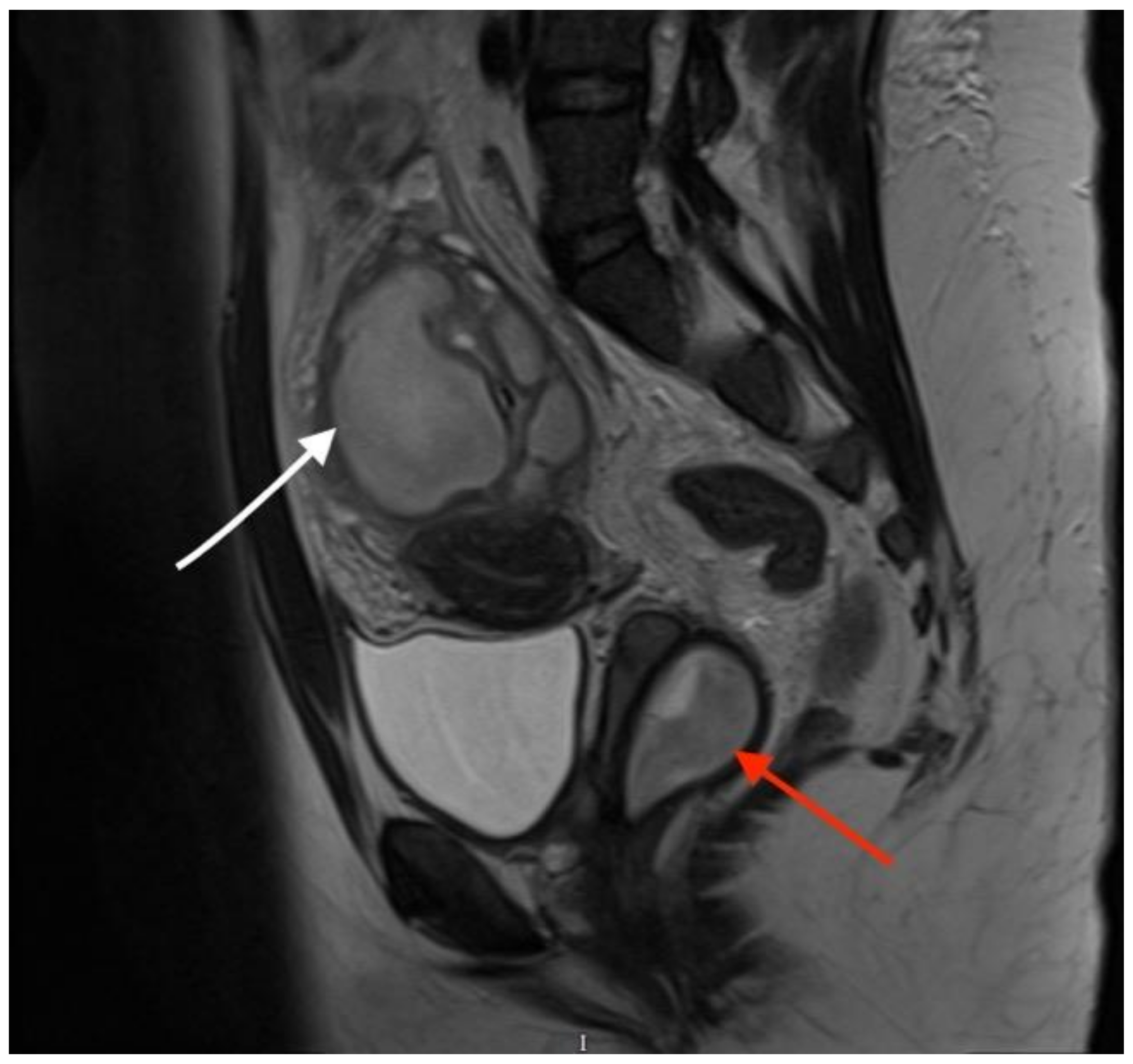 Diagnostics 13 03377 g002