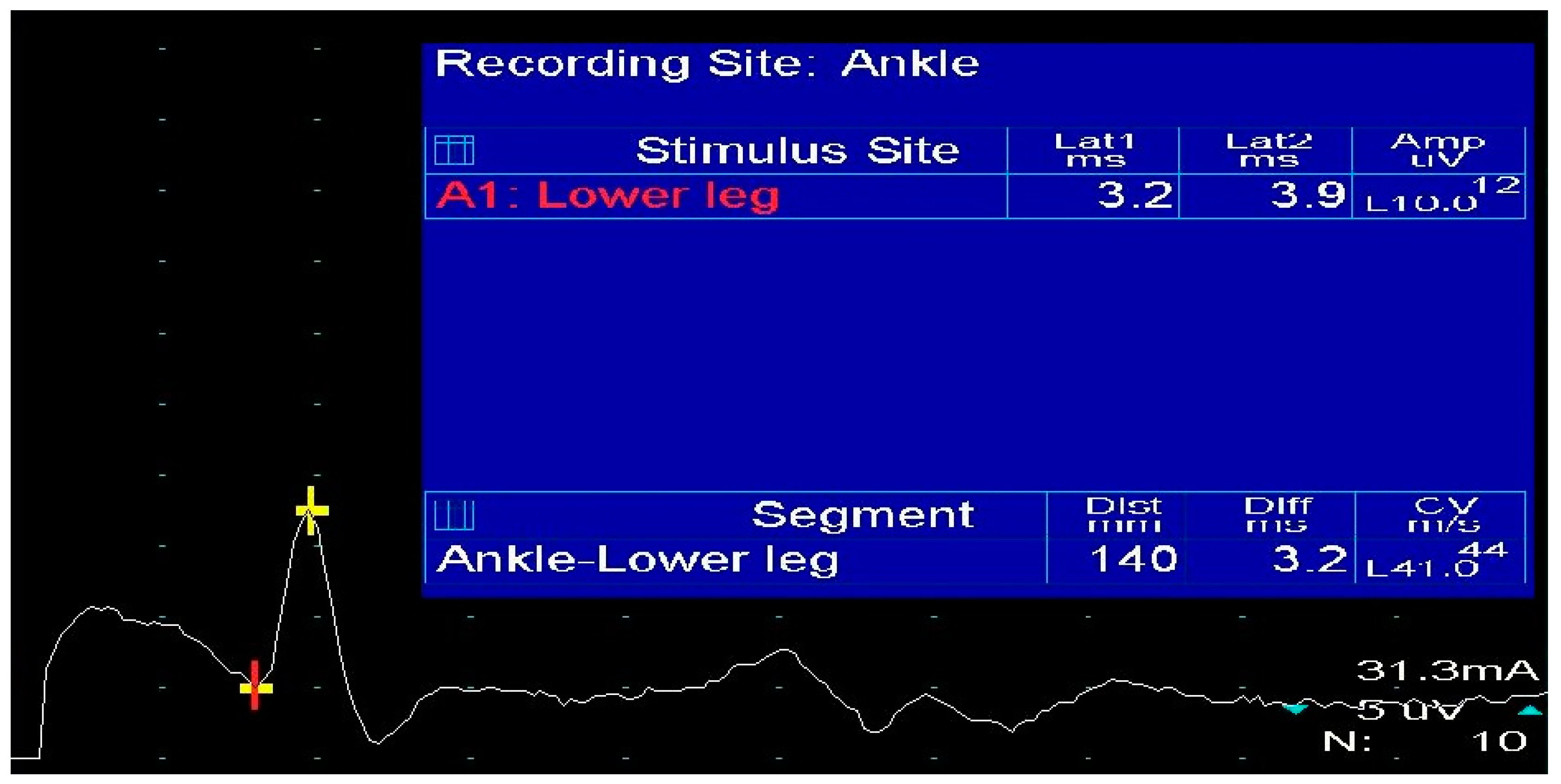 Diagnostics 13 03385 g005