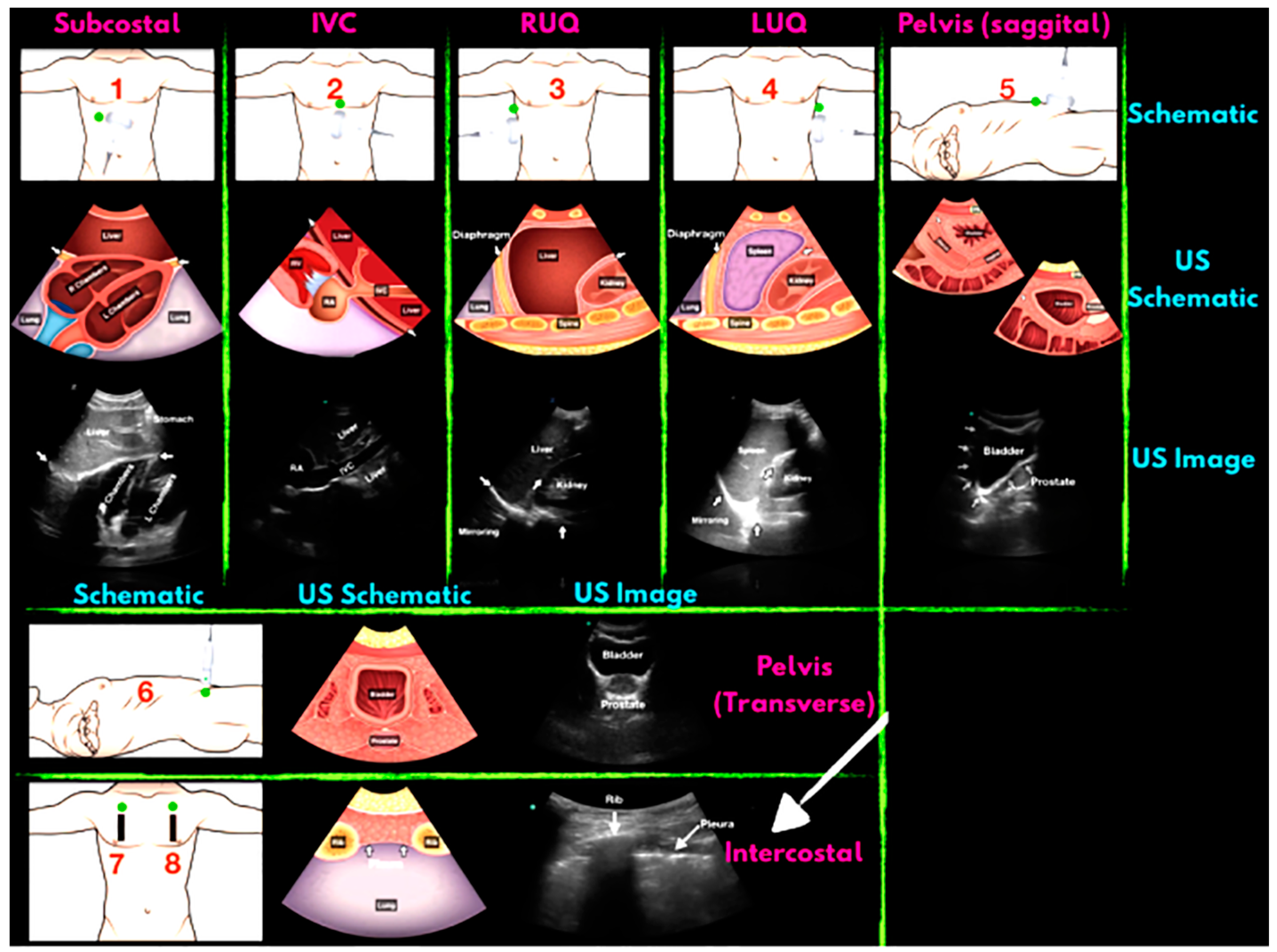 Diagnostics 13 03388 g004 Diagnostics 13 03388 g004
