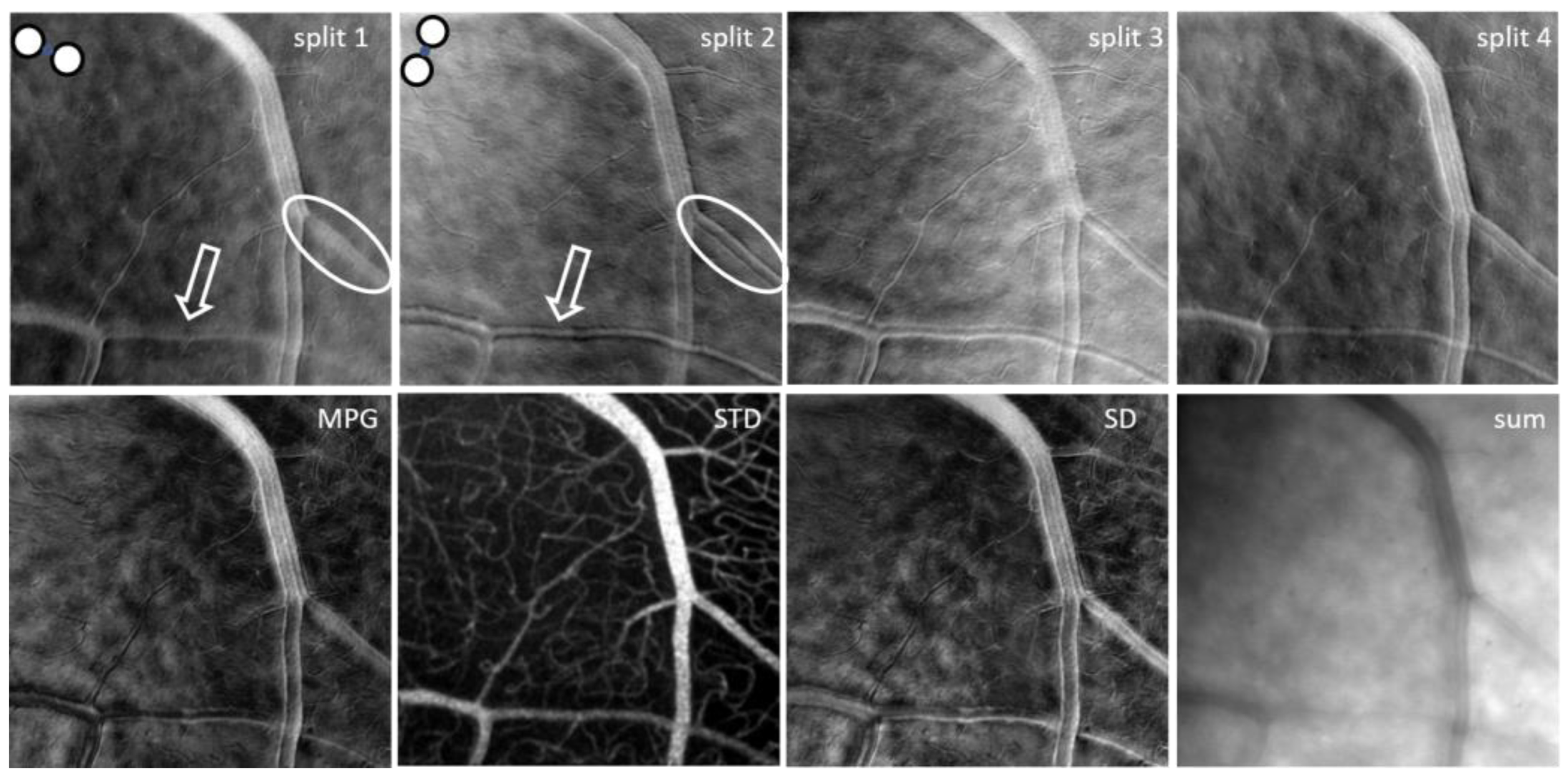 Diagnostics 13 03399 g003