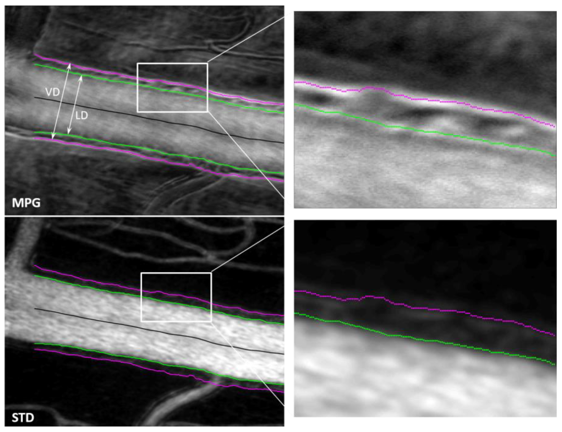 Diagnostics 13 03399 g004