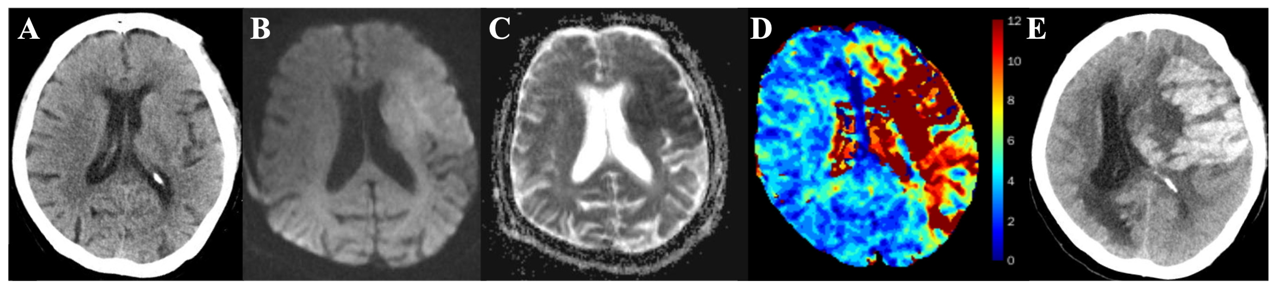 Diagnostics 13 03404 g002