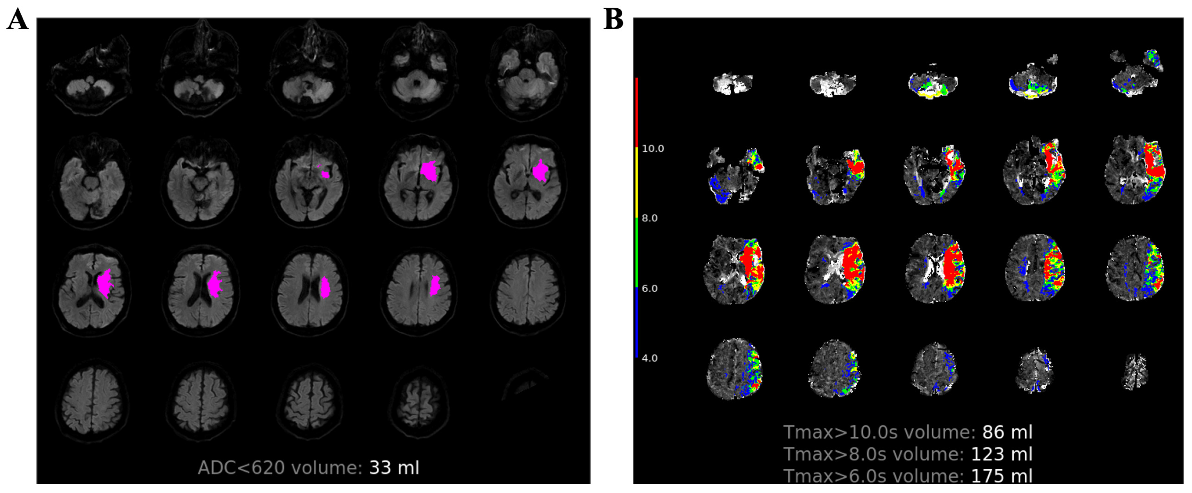 Diagnostics 13 03404 g003