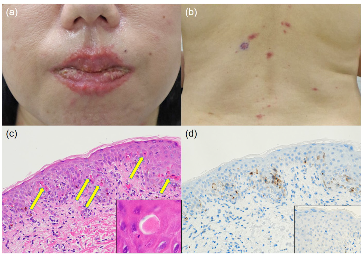 Diagnostics 13 03405 g001