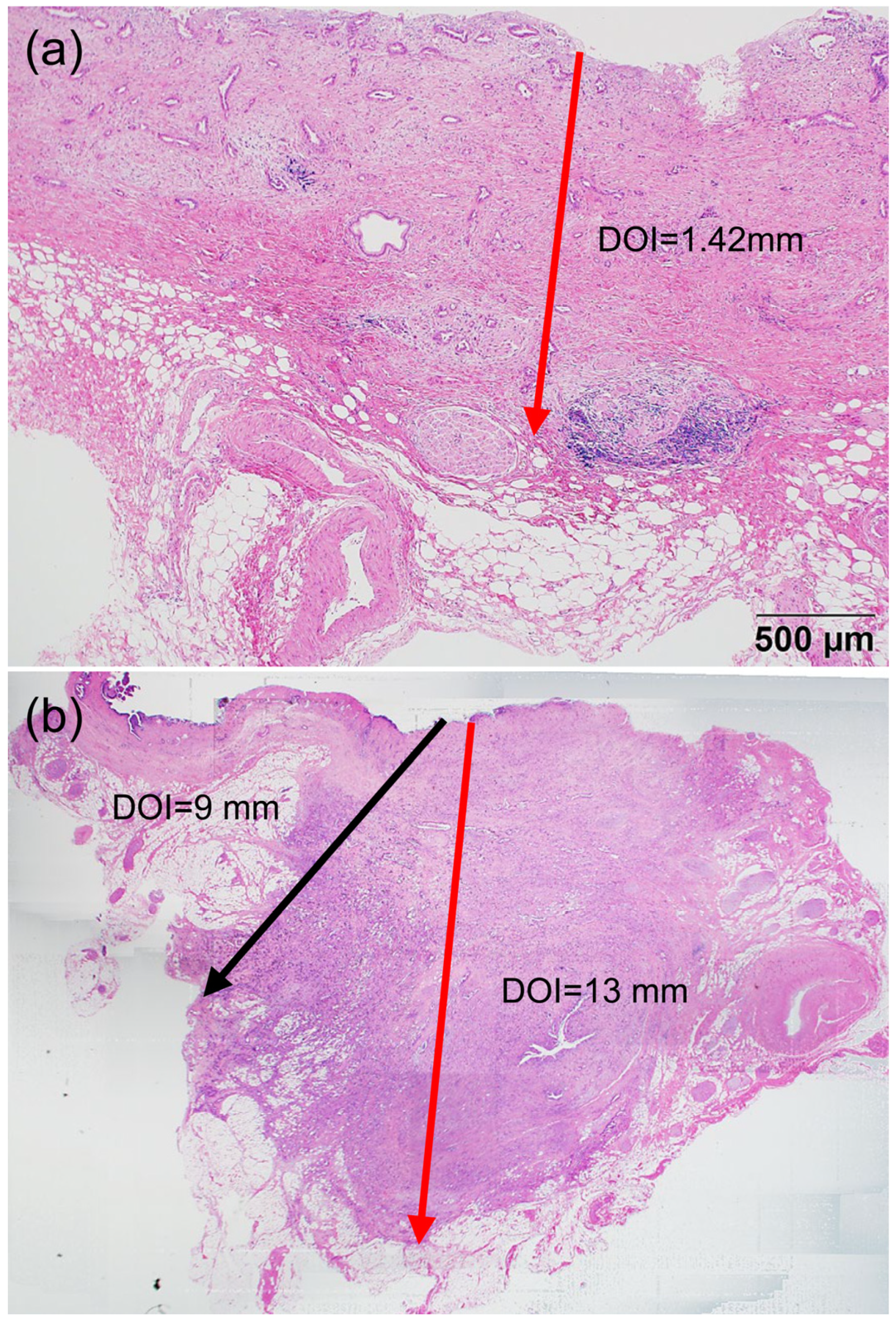 Diagnostics 13 03406 g001 Diagnostics 13 03406 g001