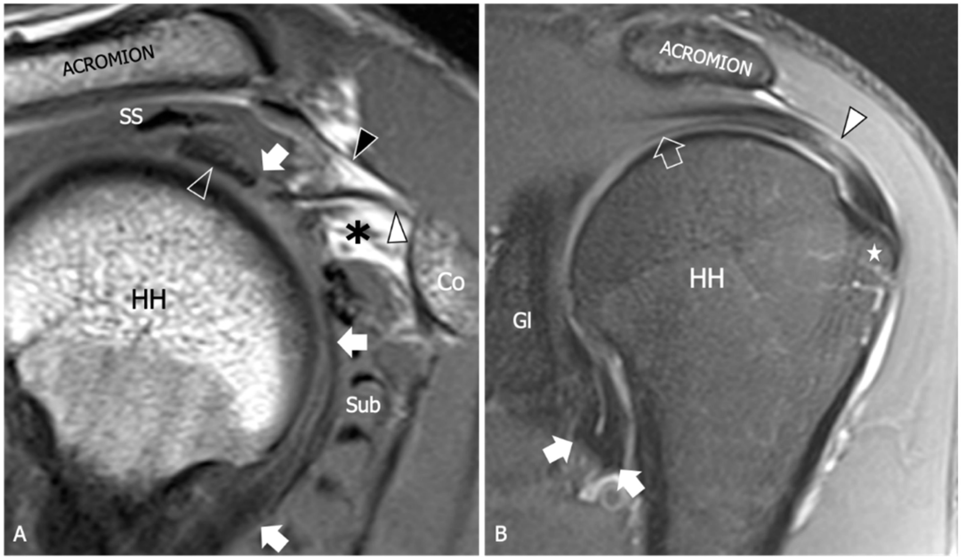 Diagnostics 13 03410 g002 Diagnostics 13 03410 g002