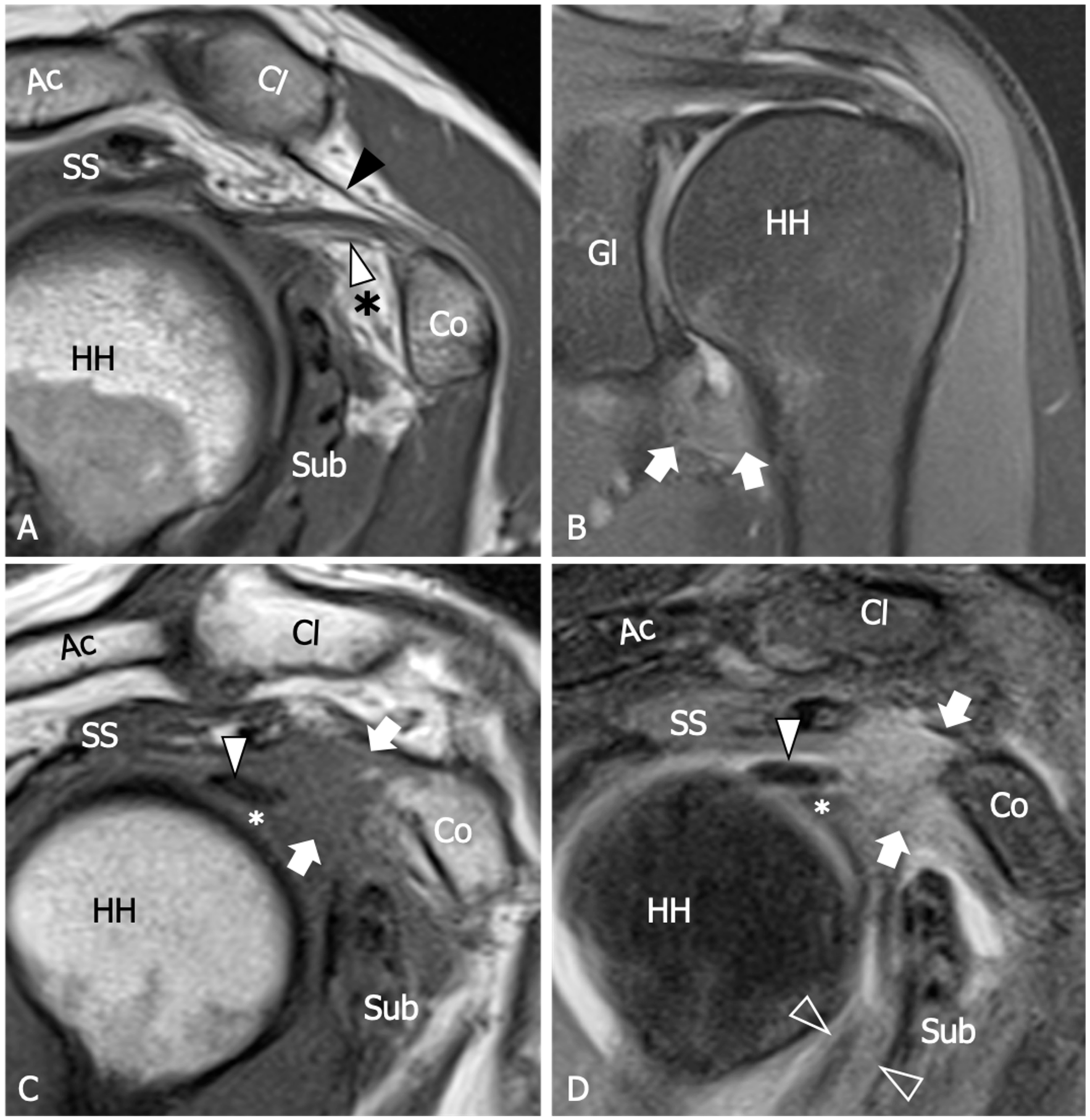 Diagnostics 13 03410 g003 Diagnostics 13 03410 g003