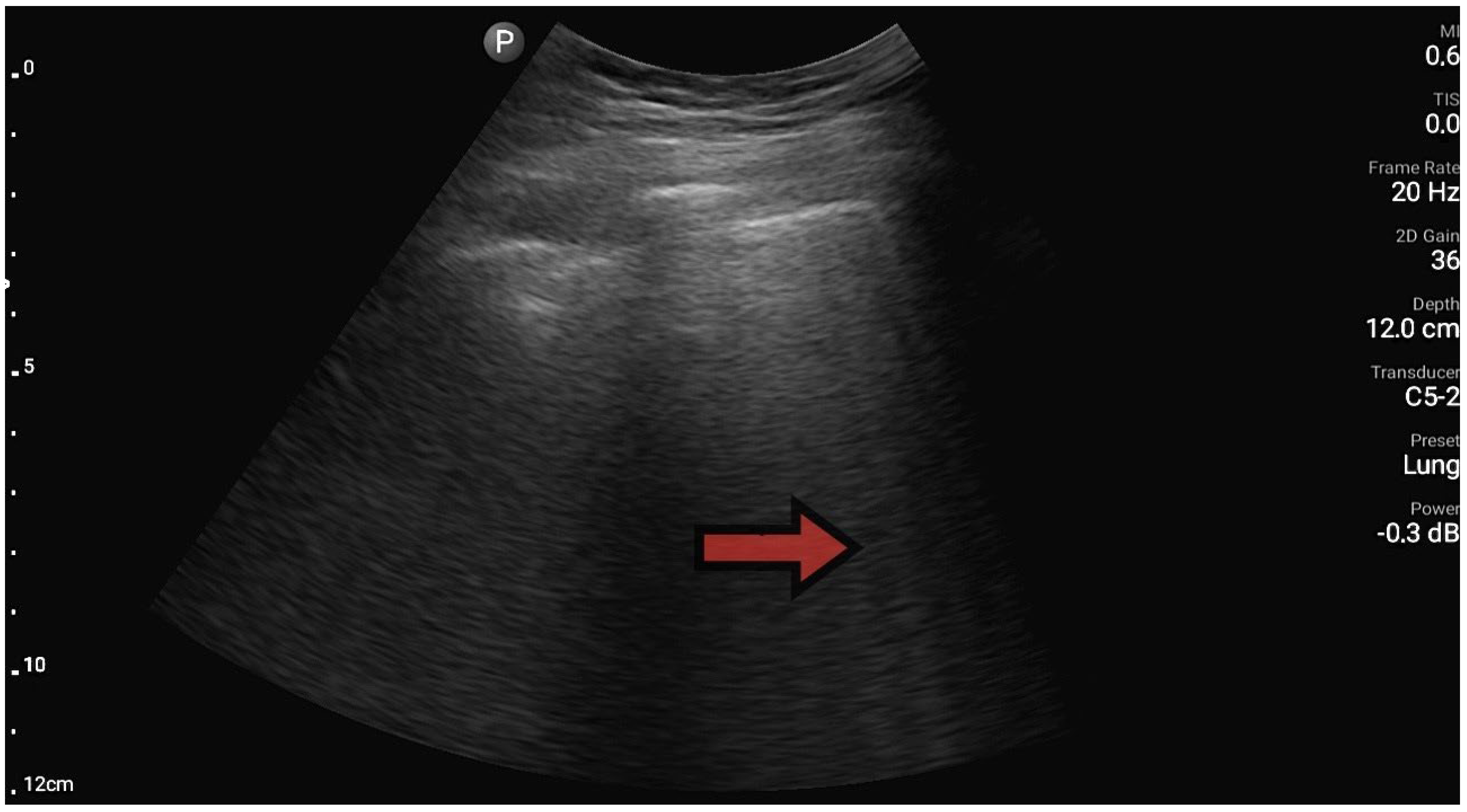 Diagnostics 13 03412 g002