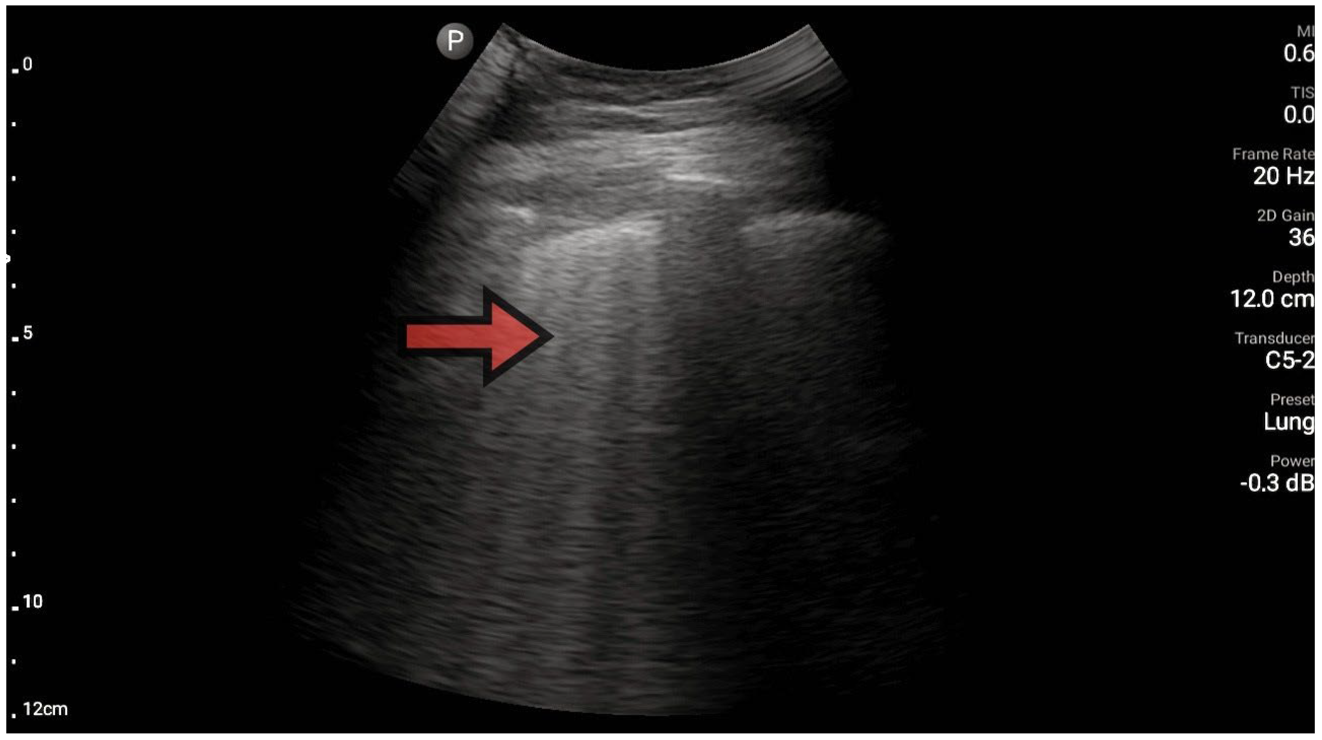 Diagnostics 13 03412 g003