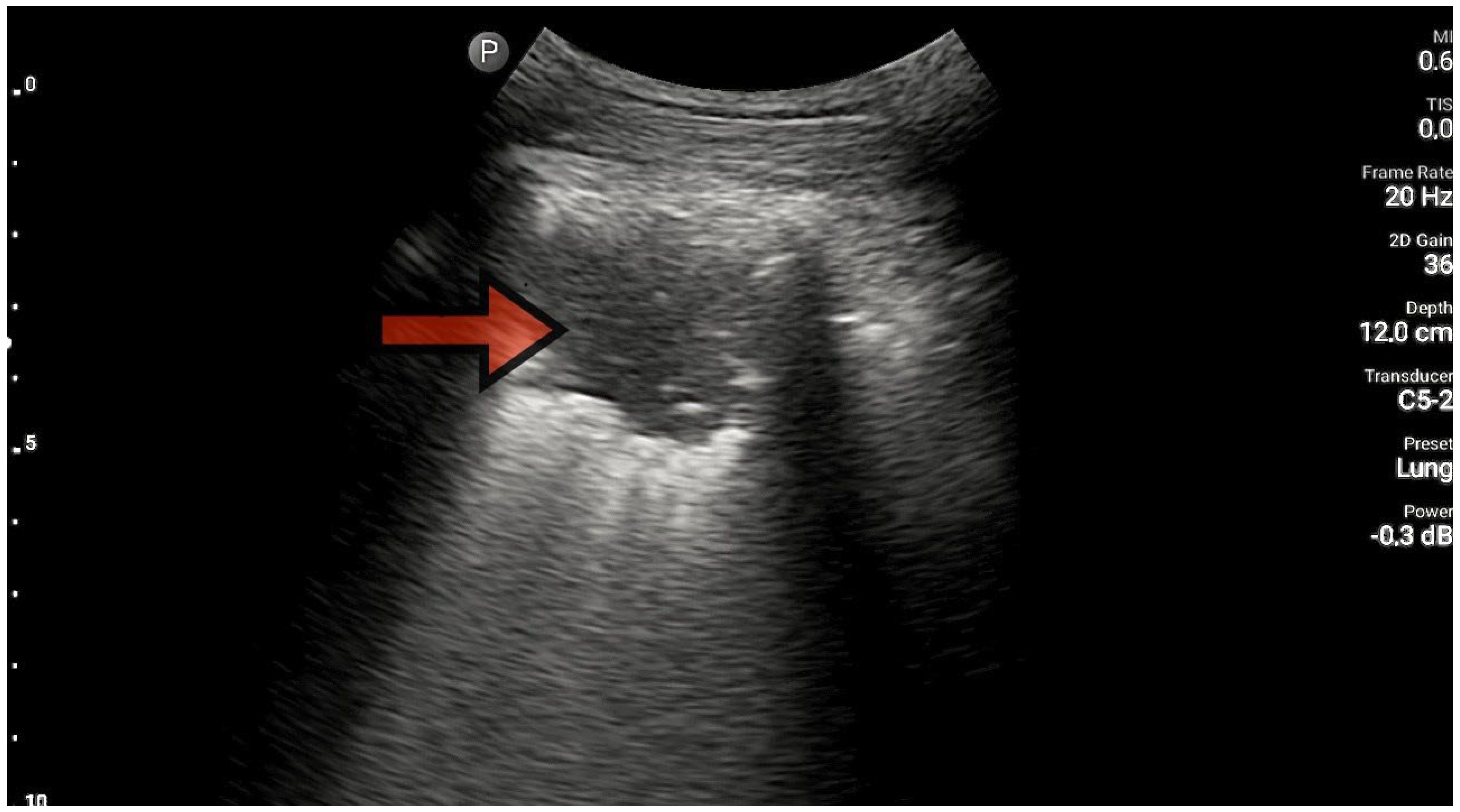 Diagnostics 13 03412 g004
