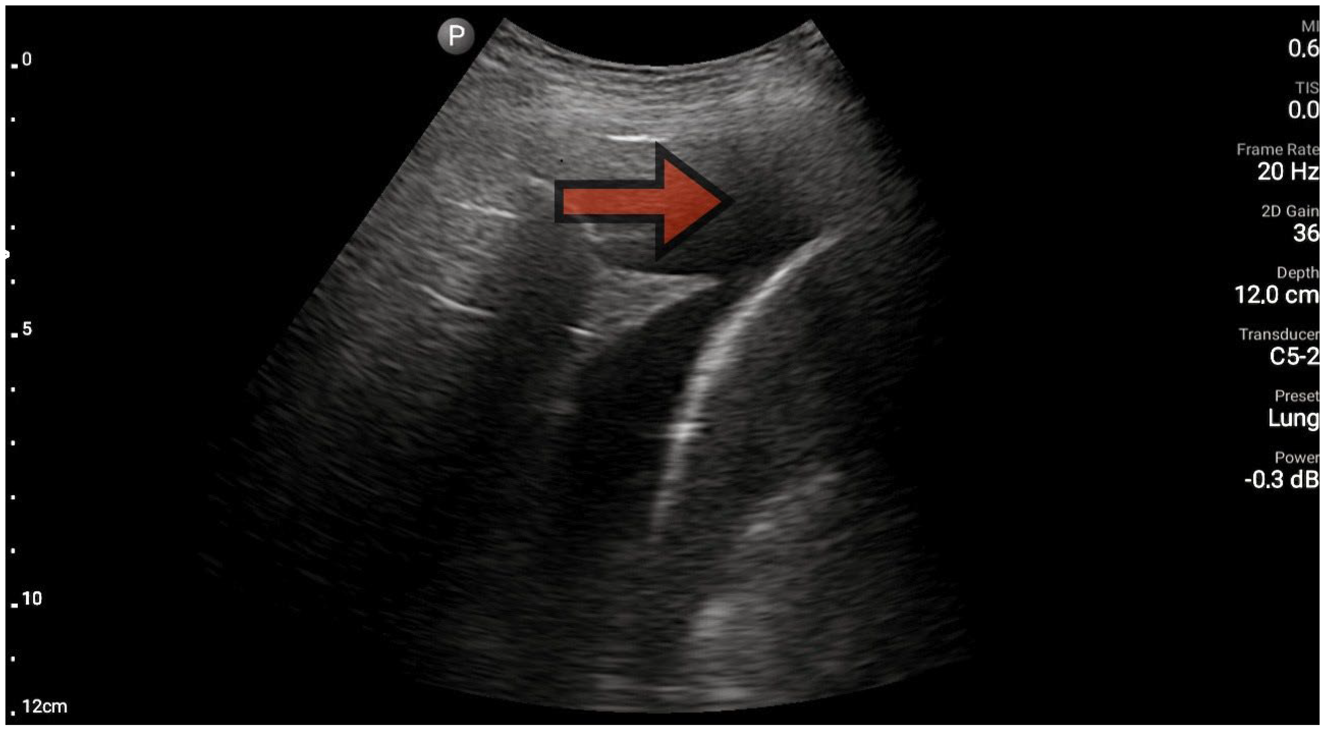 Diagnostics 13 03412 g005