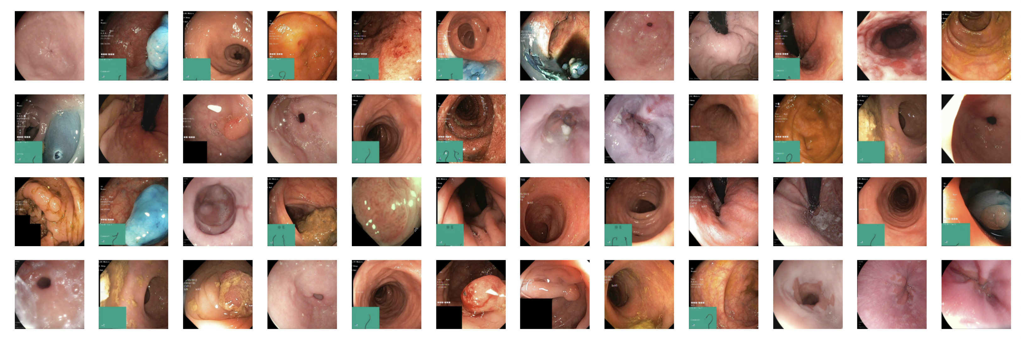 Diagnostics 13 03413 g002