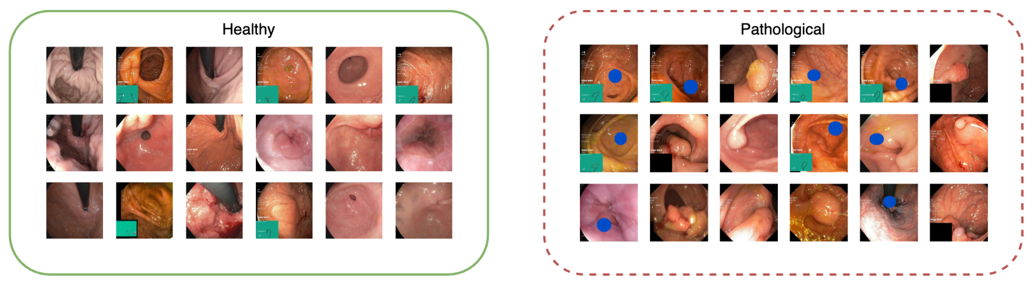 Diagnostics 13 03413 g004