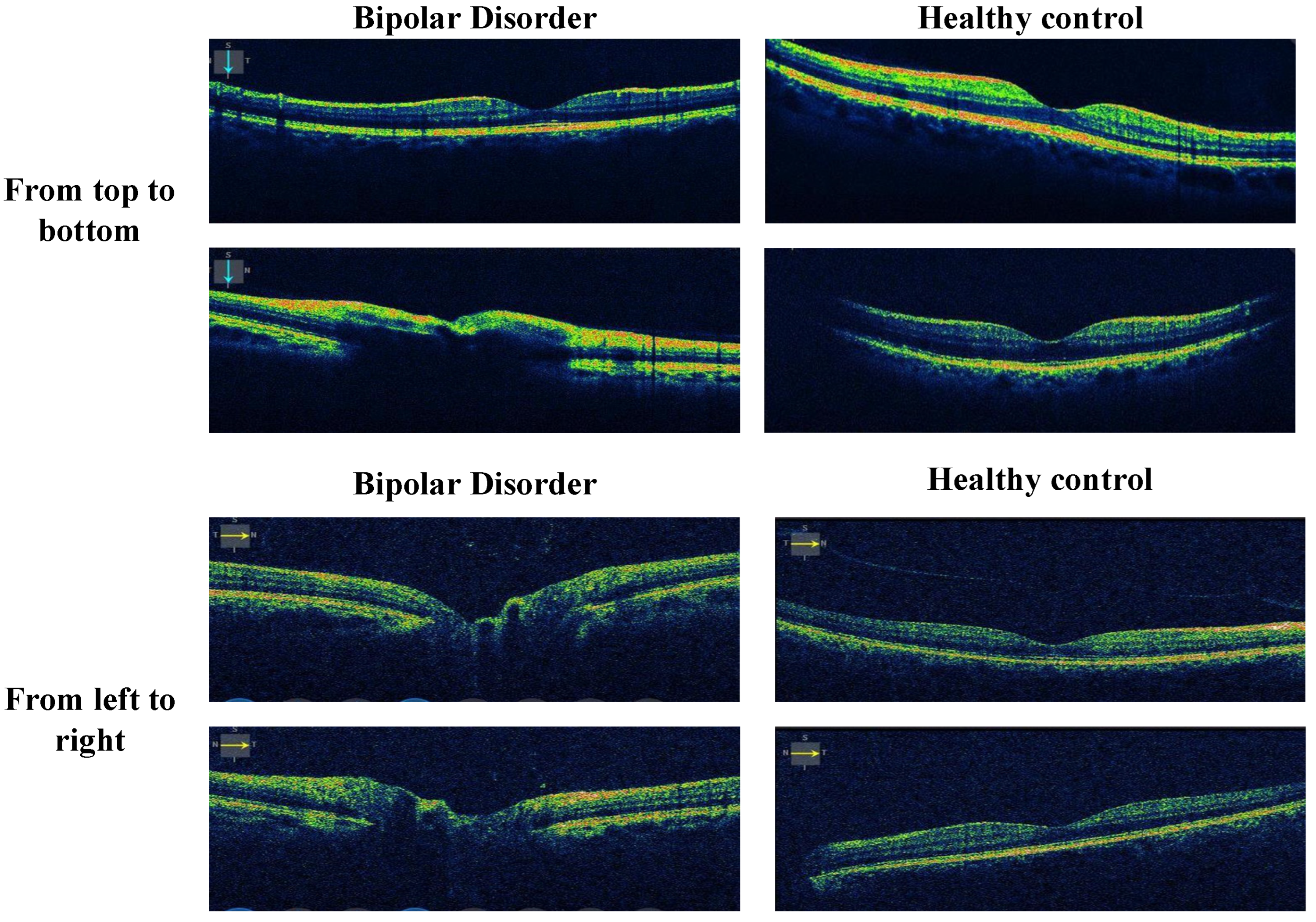 Diagnostics 13 03422 g001