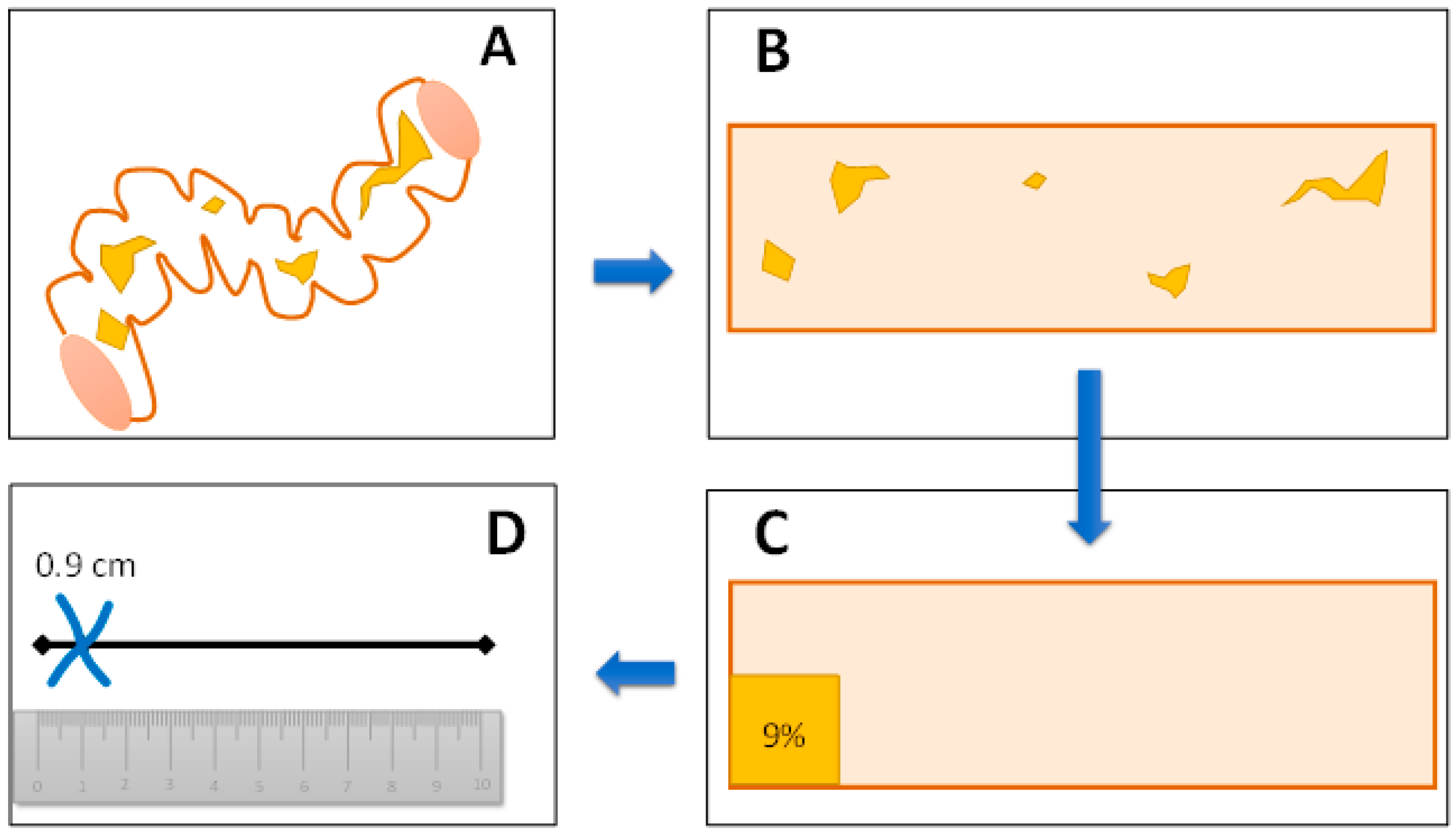 Diagnostics 13 03423 g004