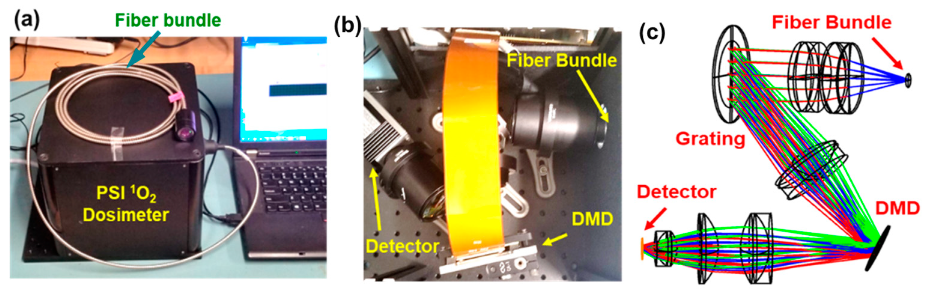 Diagnostics 13 03431 g002