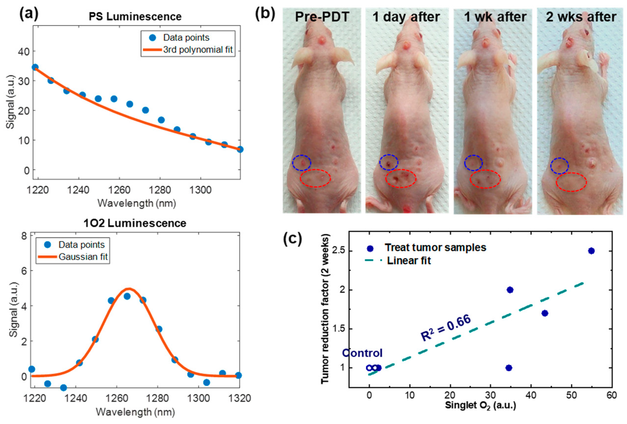 Diagnostics 13 03431 g005