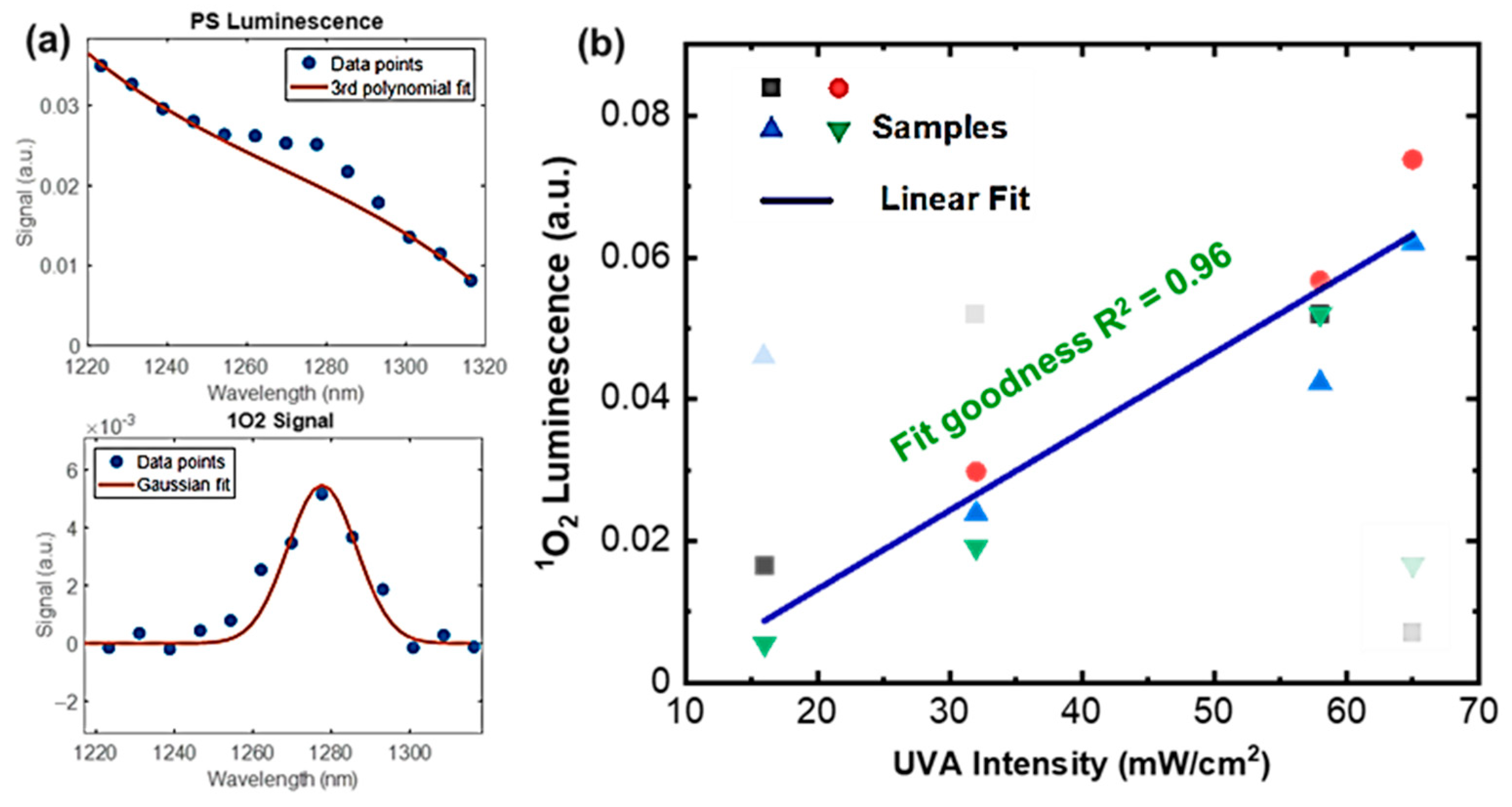 Diagnostics 13 03431 g006