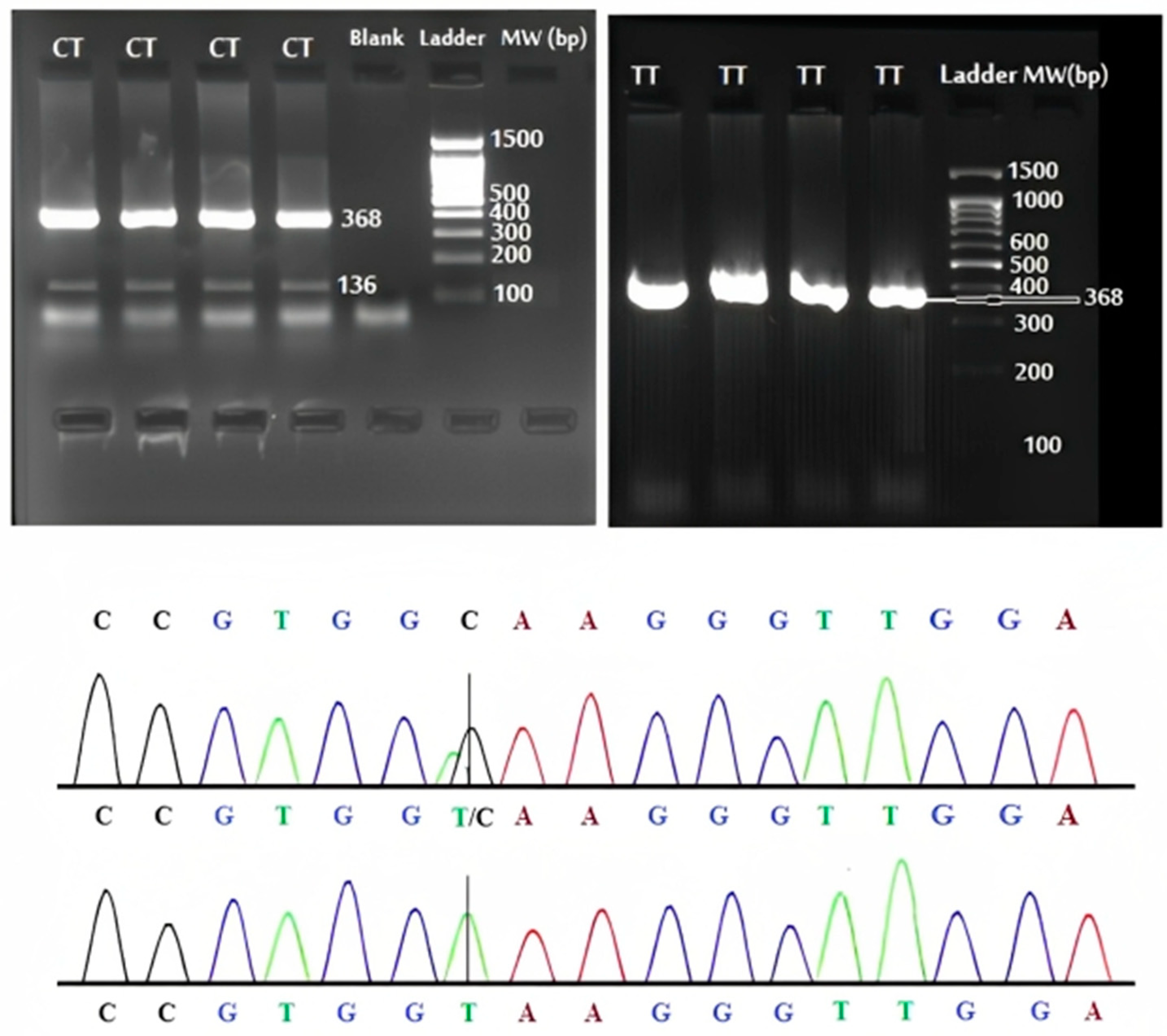 Diagnostics 13 03442 g002