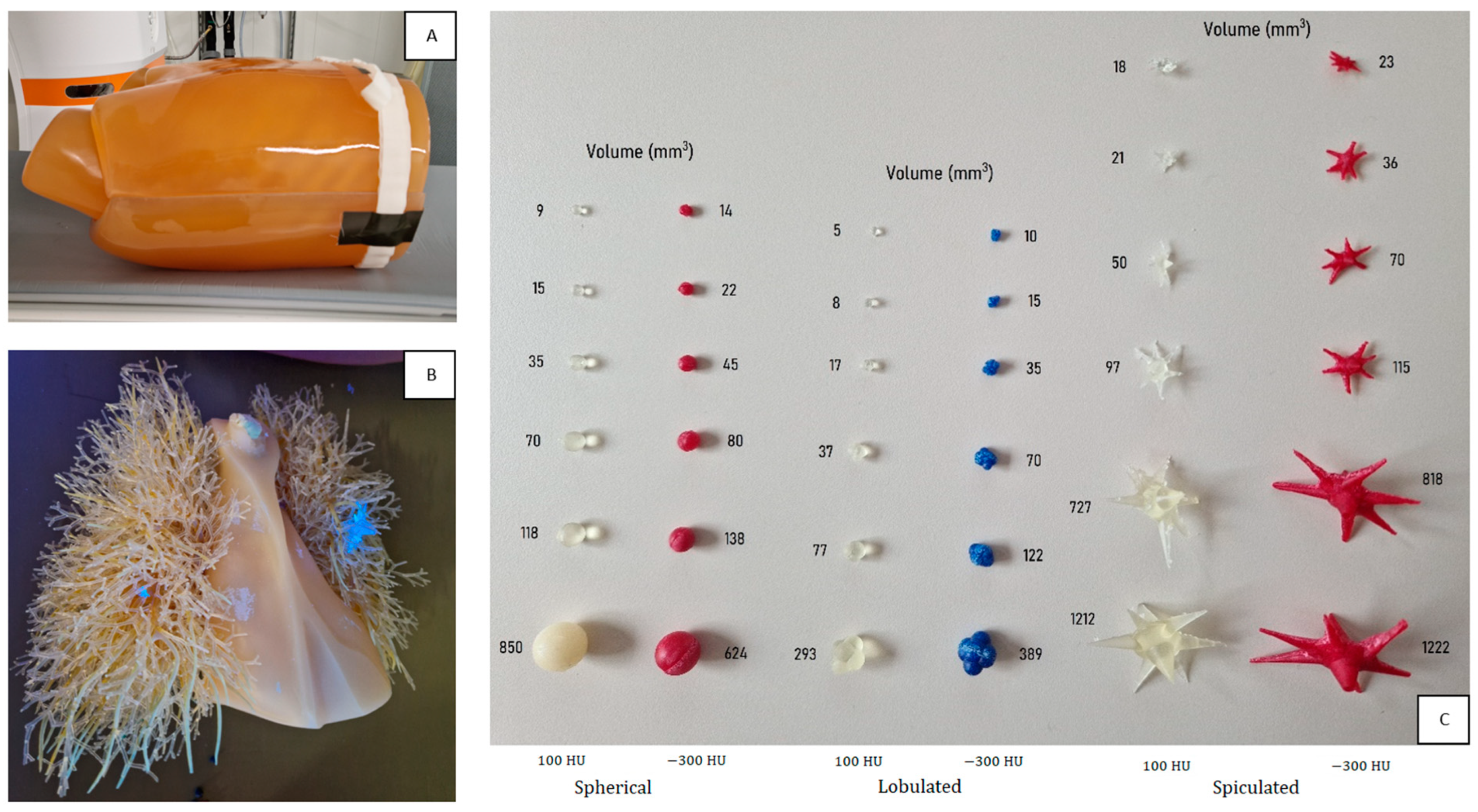 Diagnostics 13 03448 g001