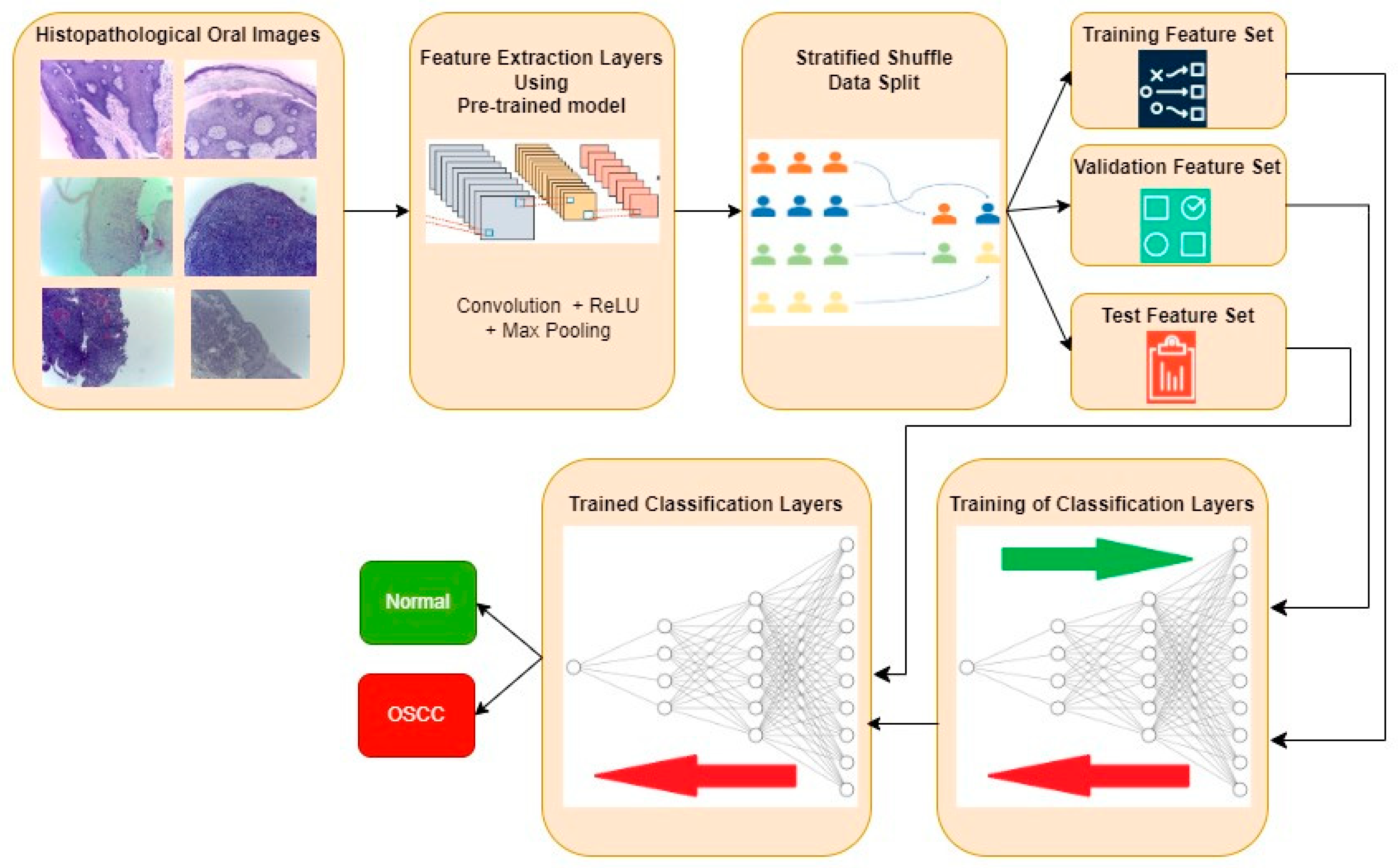 Diagnostics 13 03461 g003