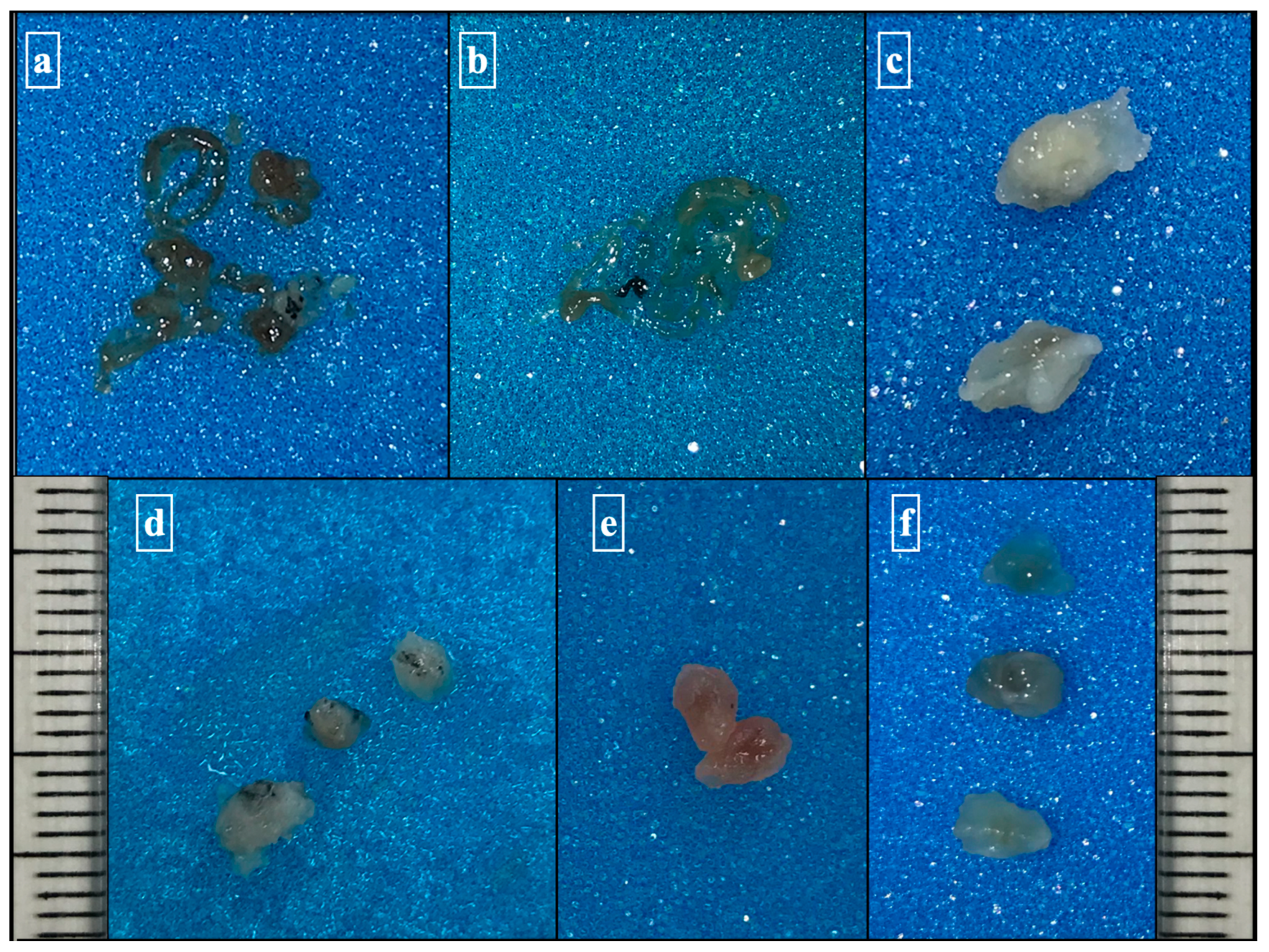 Diagnostics 13 03476 g002