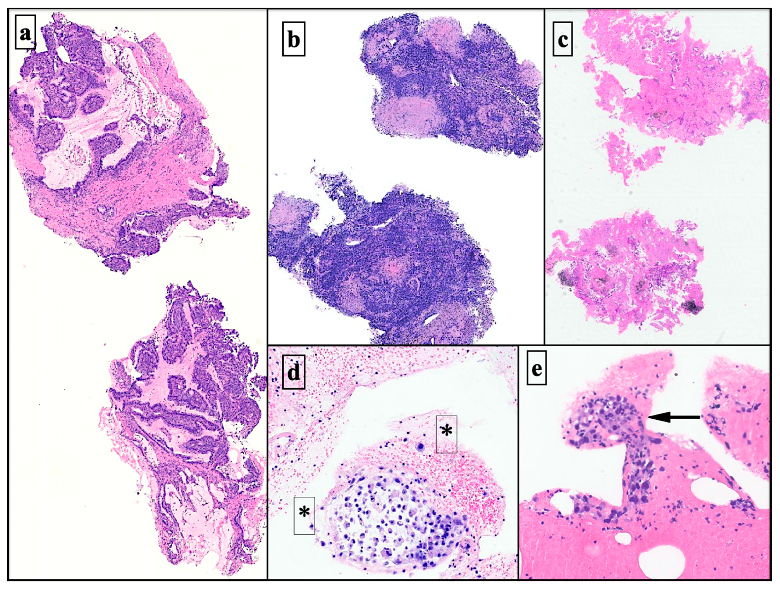 Diagnostics 13 03476 g003