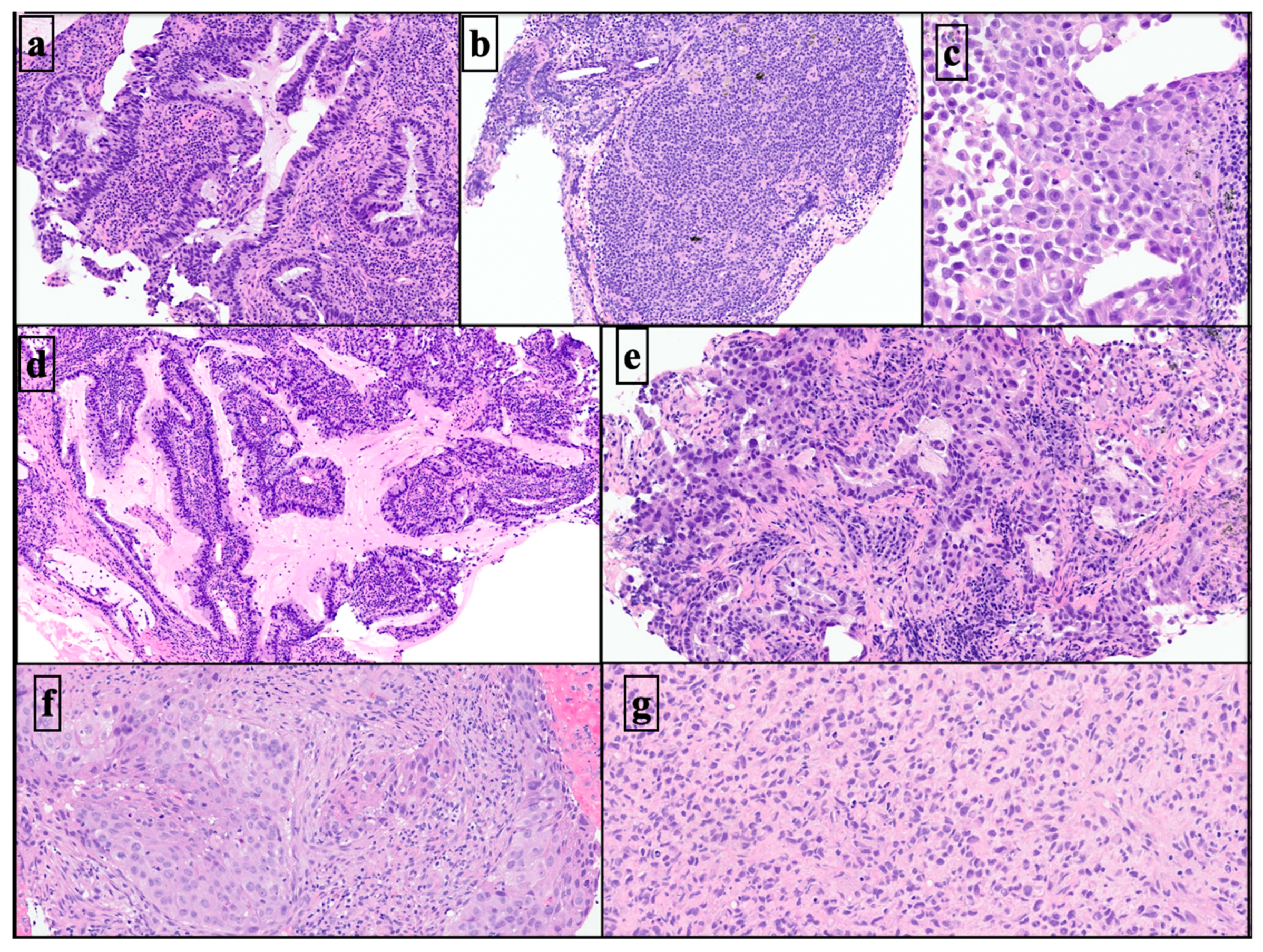 Diagnostics 13 03476 g004