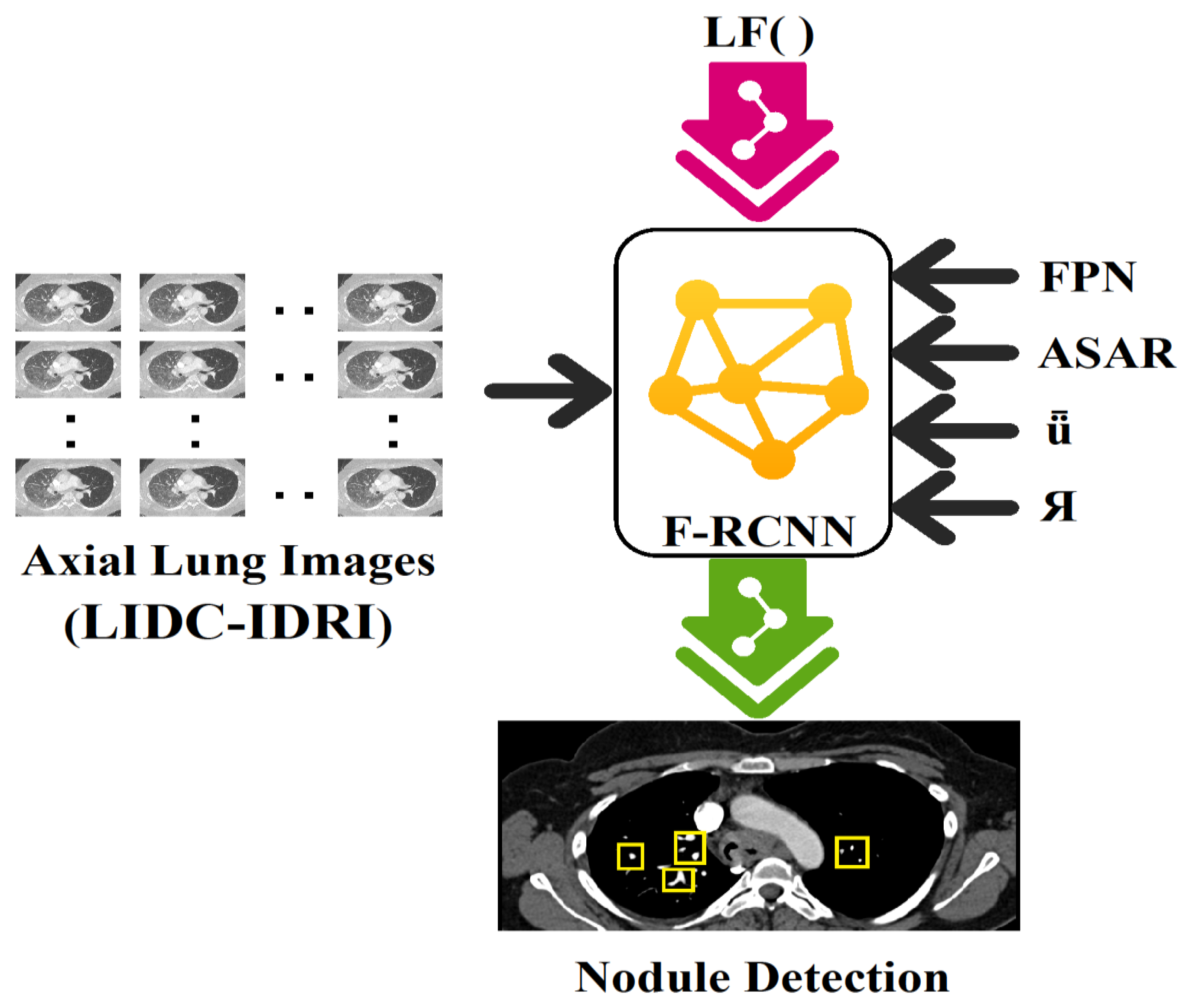 Diagnostics 13 03485 g001