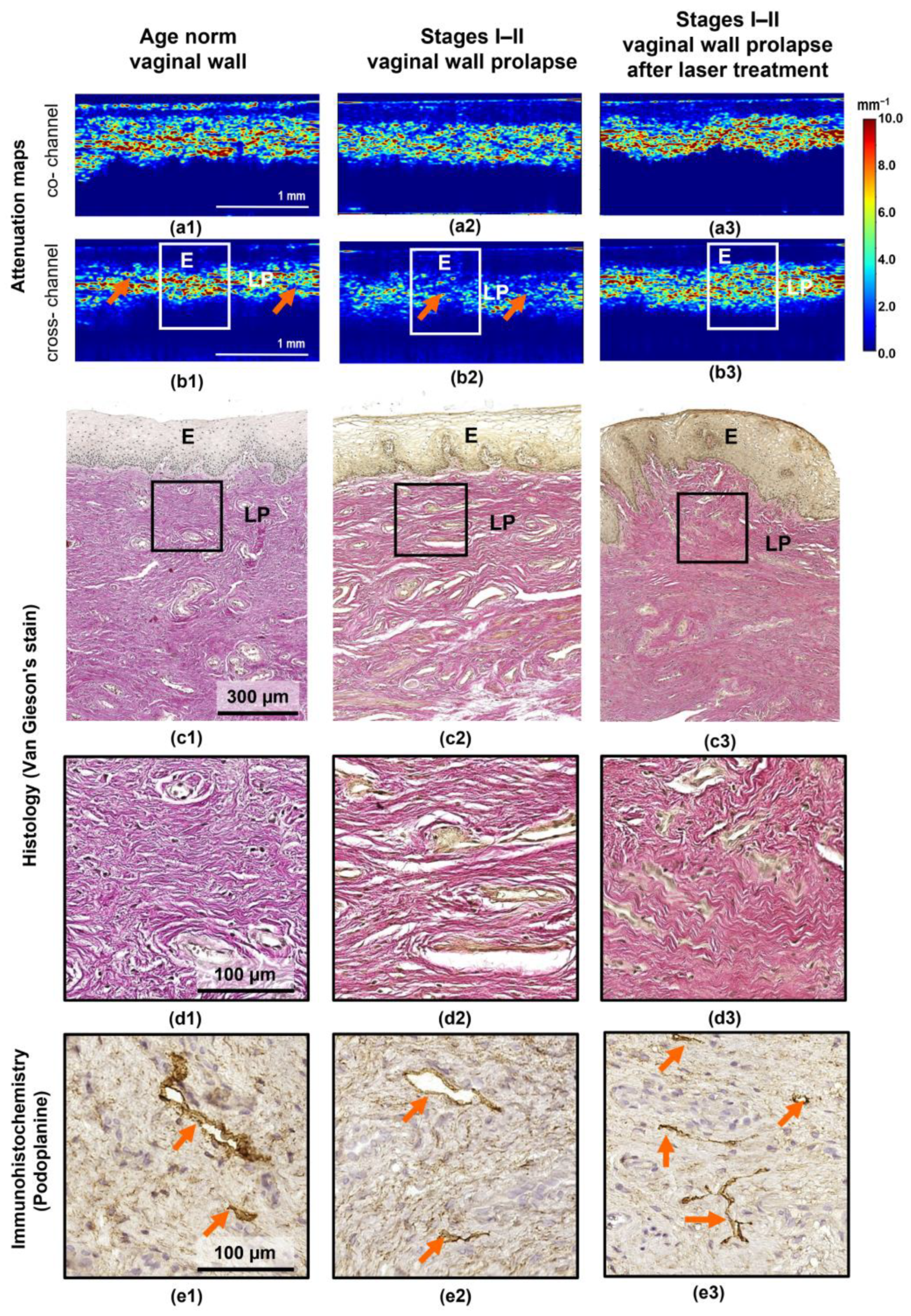 Diagnostics 13 03487 g002 Diagnostics 13 03487 g002
