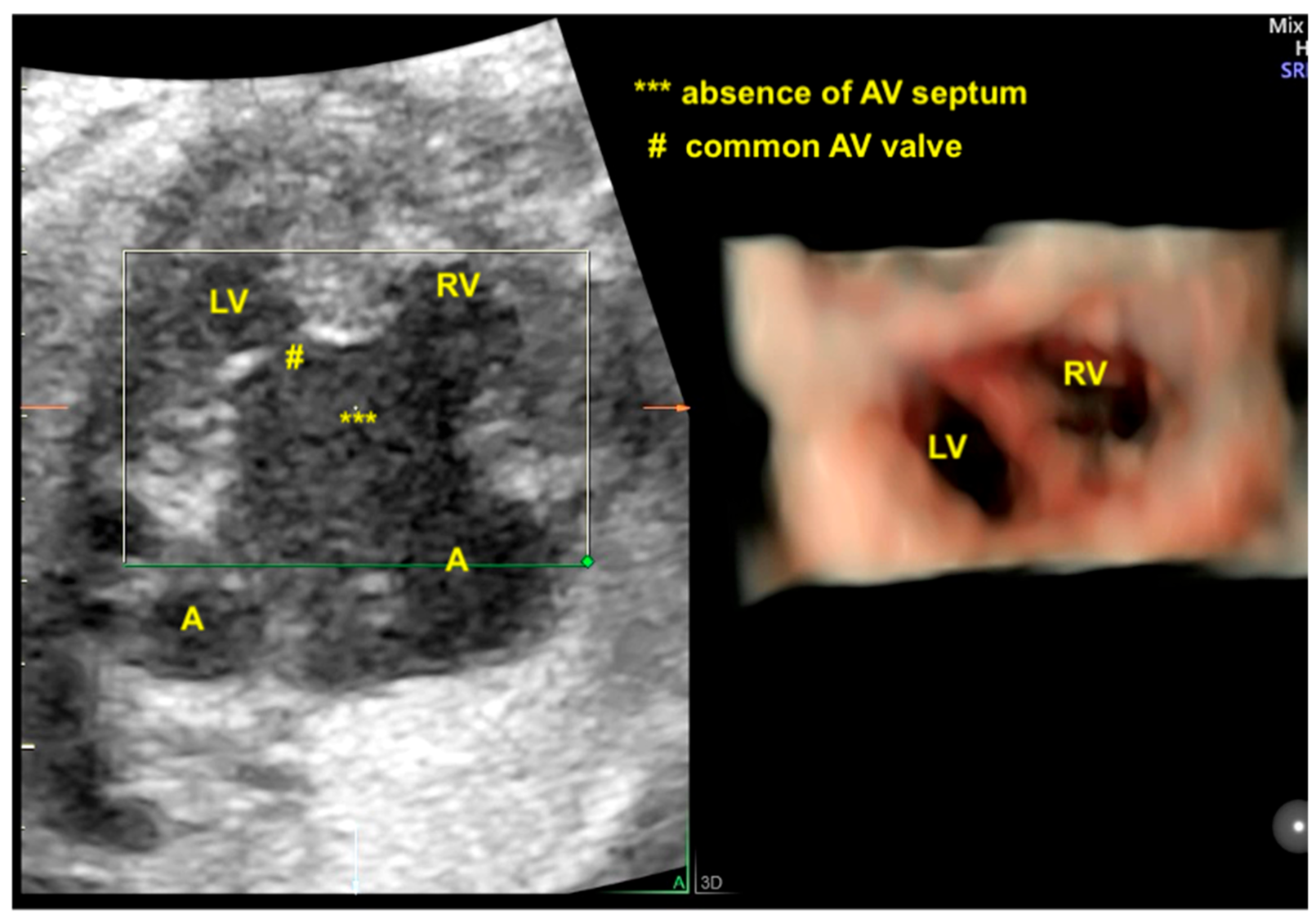Diagnostics 13 03509 g002
