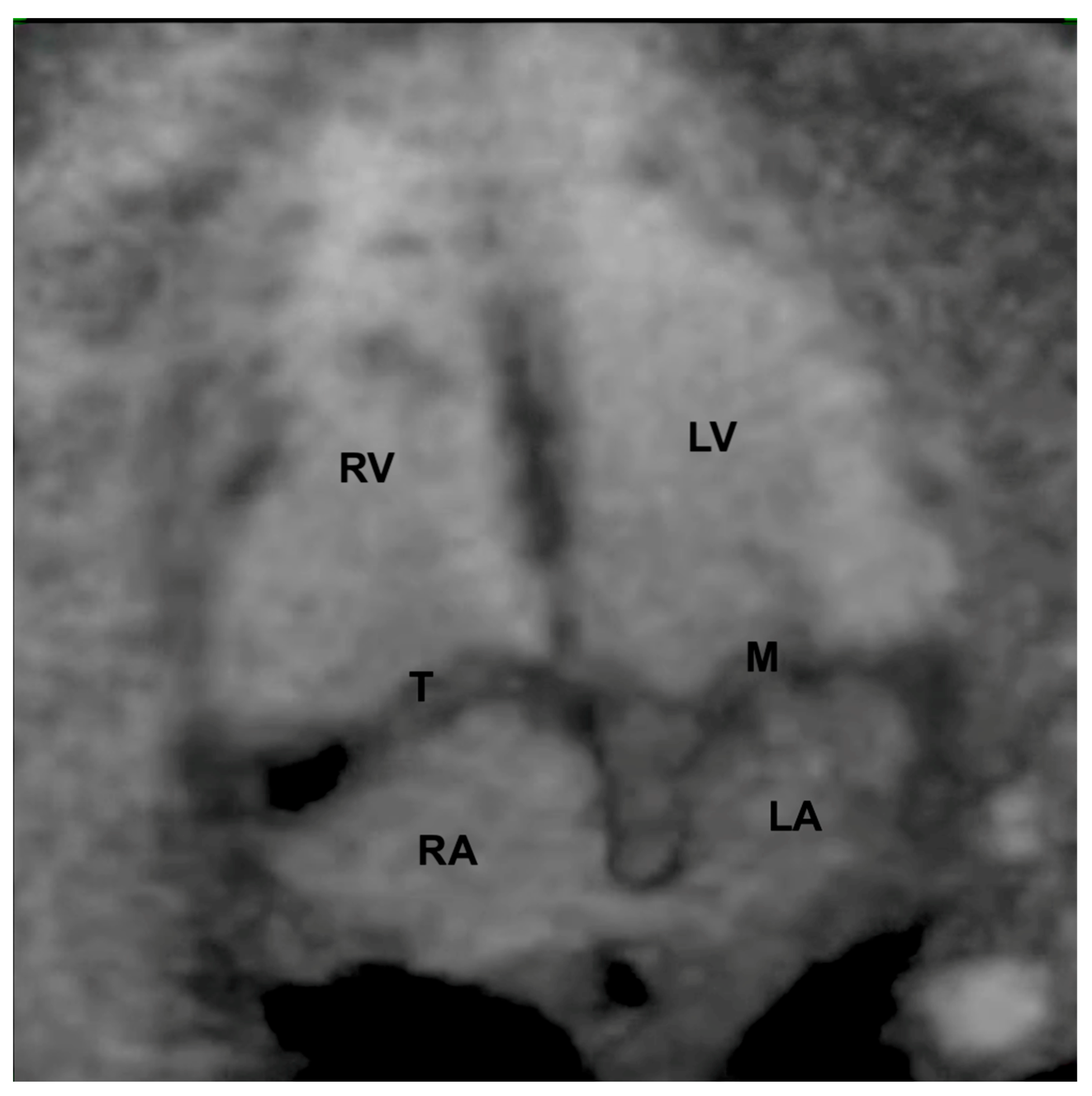 Diagnostics 13 03509 g006