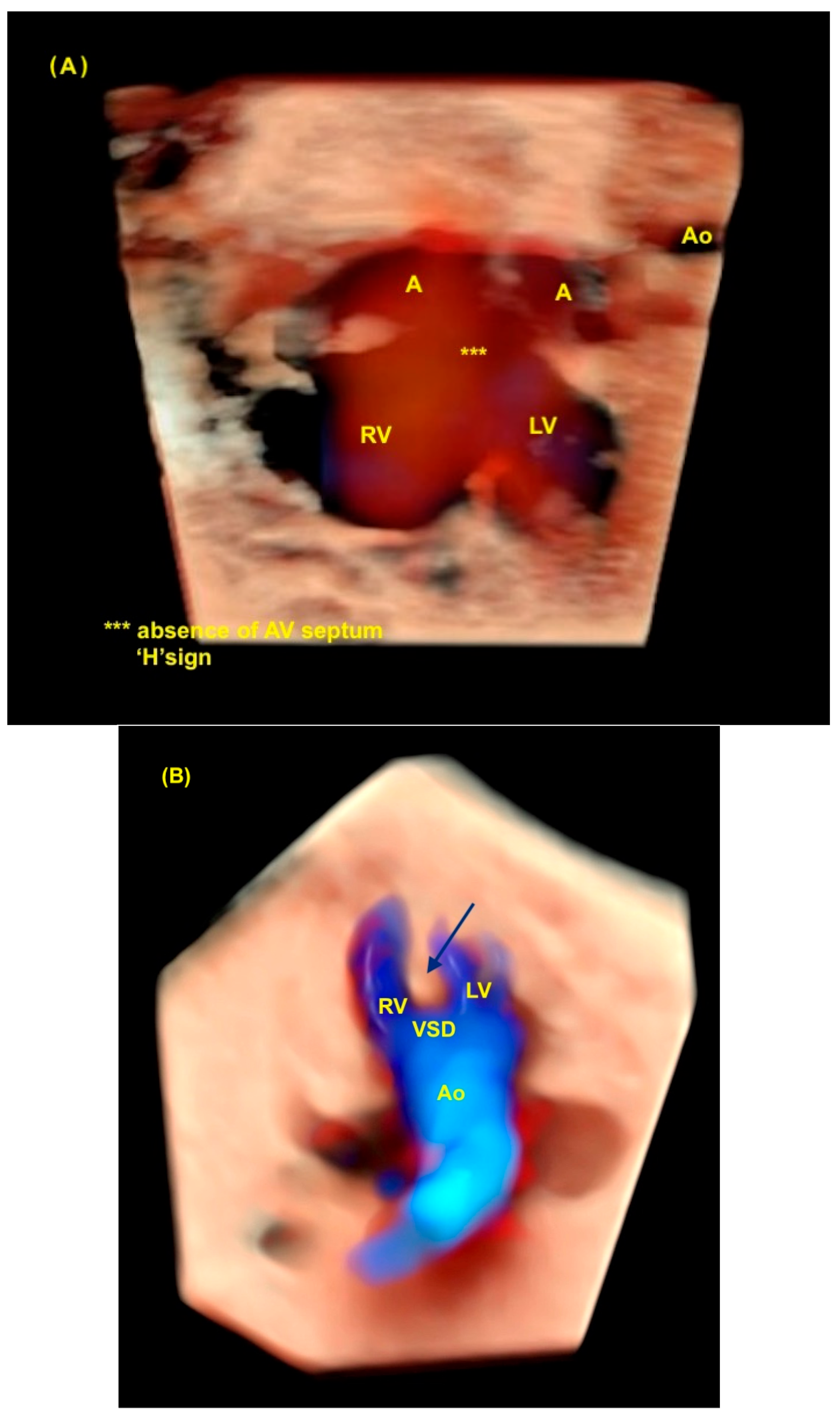 Diagnostics 13 03509 g008