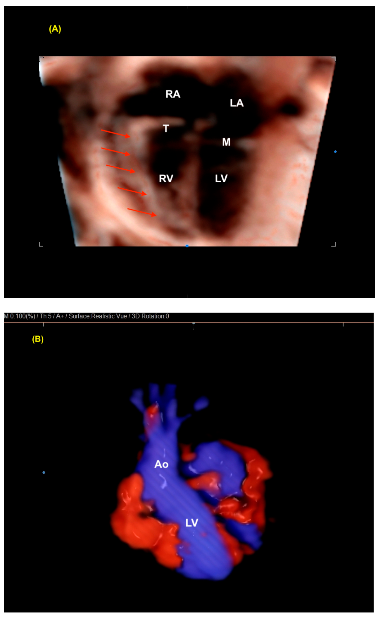 Diagnostics 13 03509 g009