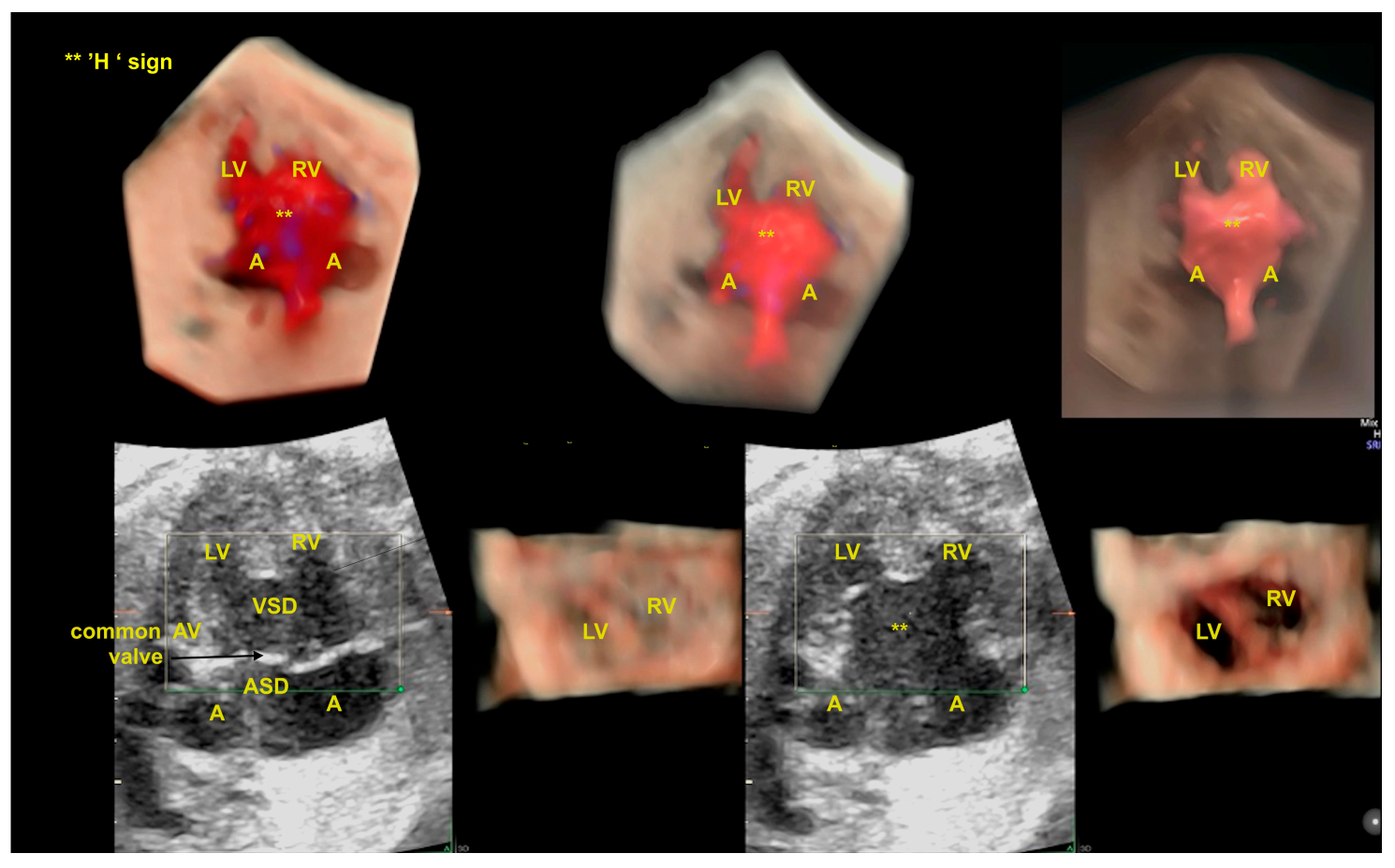 Diagnostics 13 03509 g015