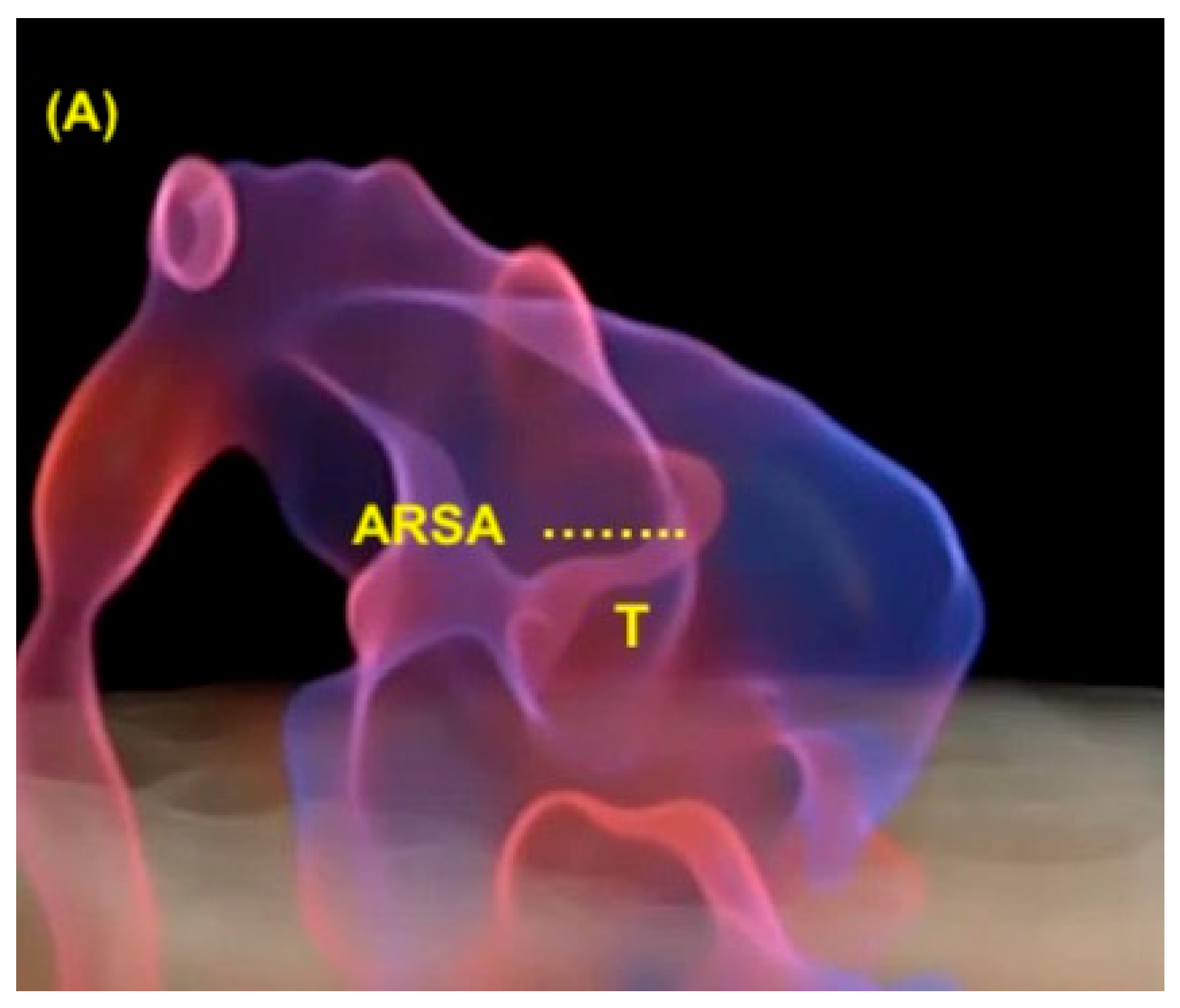 Diagnostics 13 03509 g016a