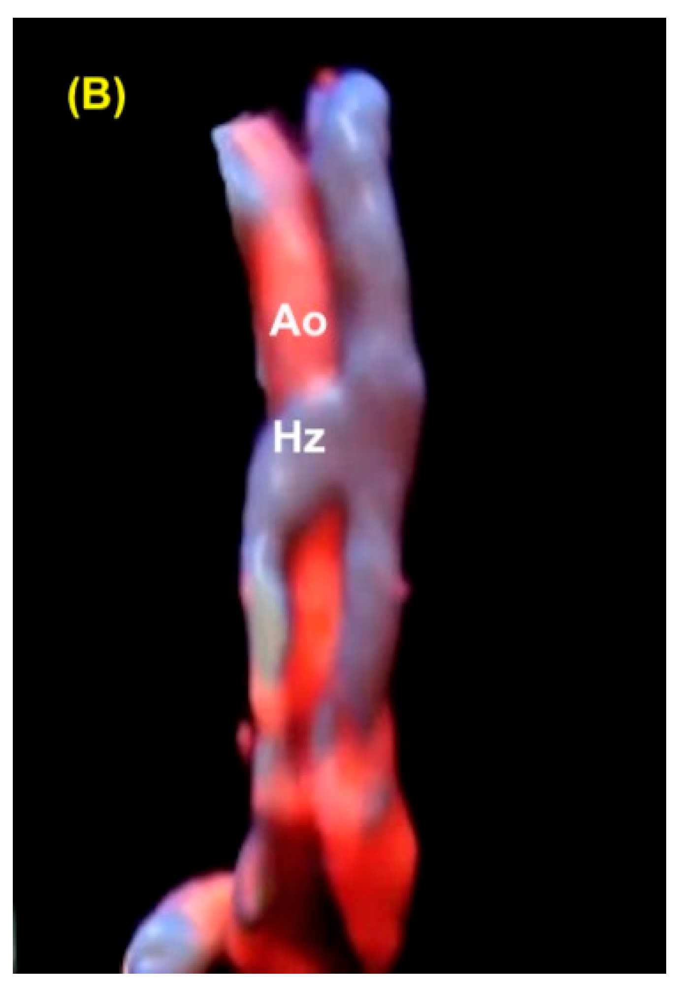 Diagnostics 13 03509 g016b