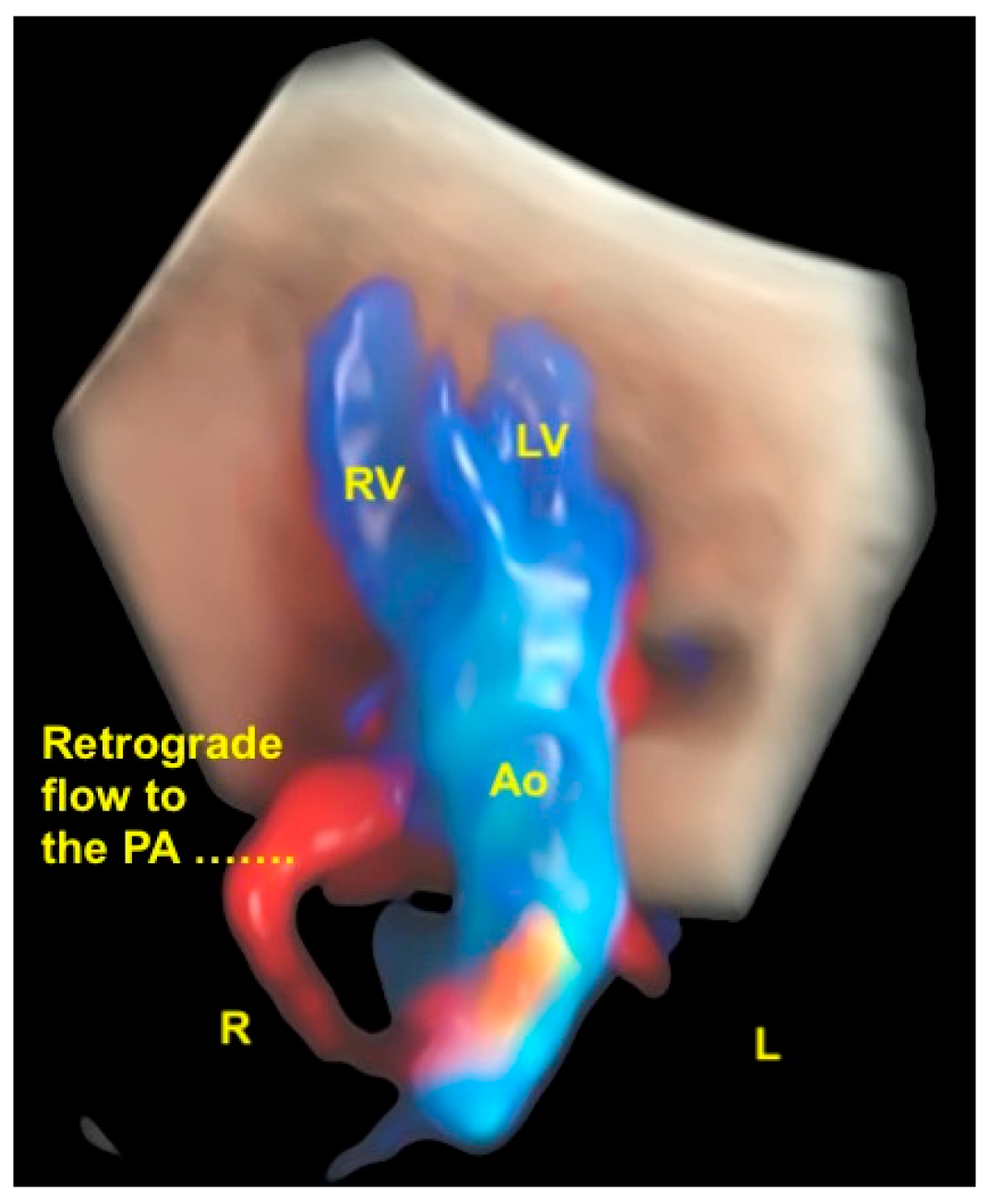 Diagnostics 13 03509 g019